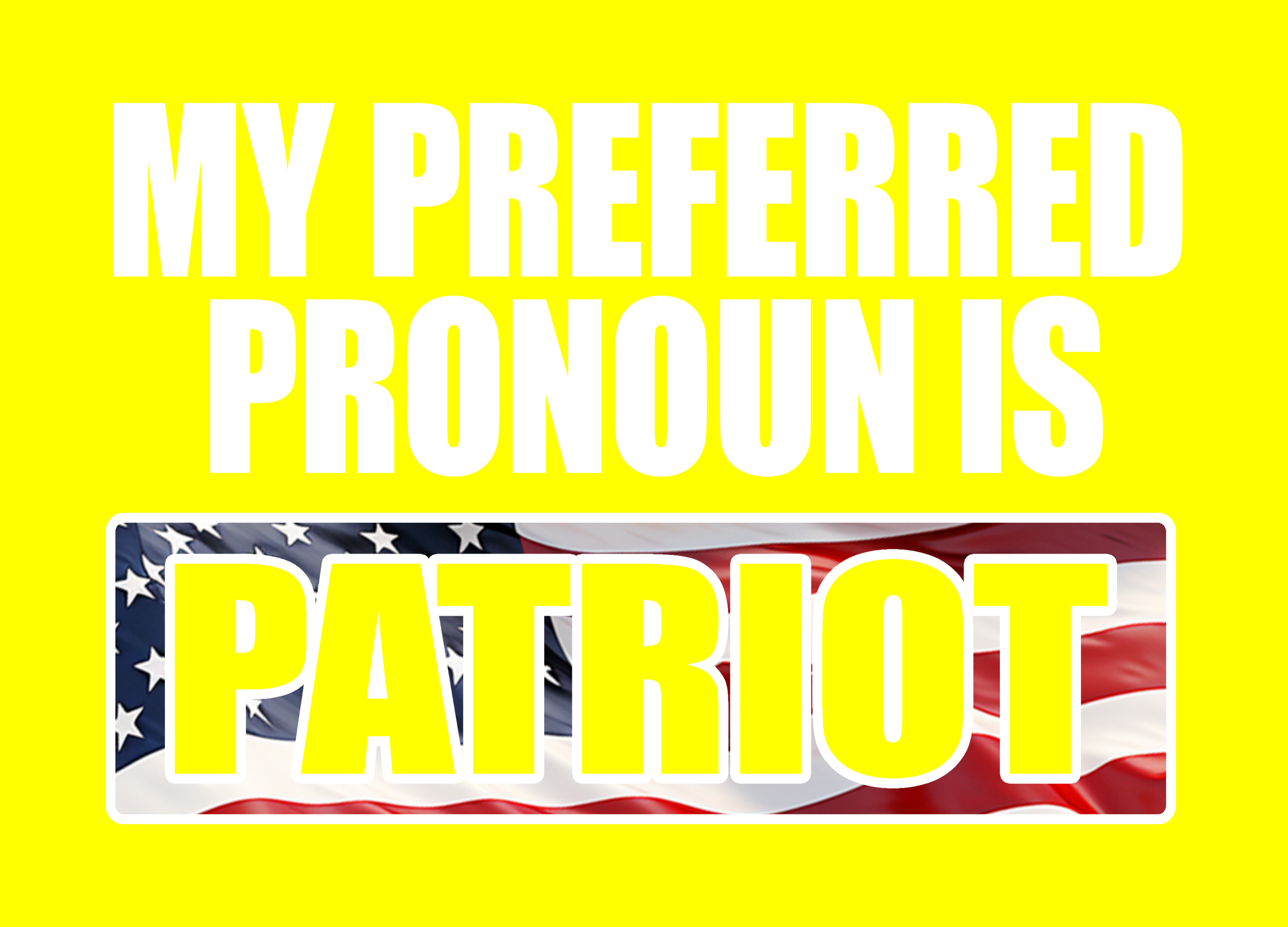 PRONOUN PATRIOT 13.png