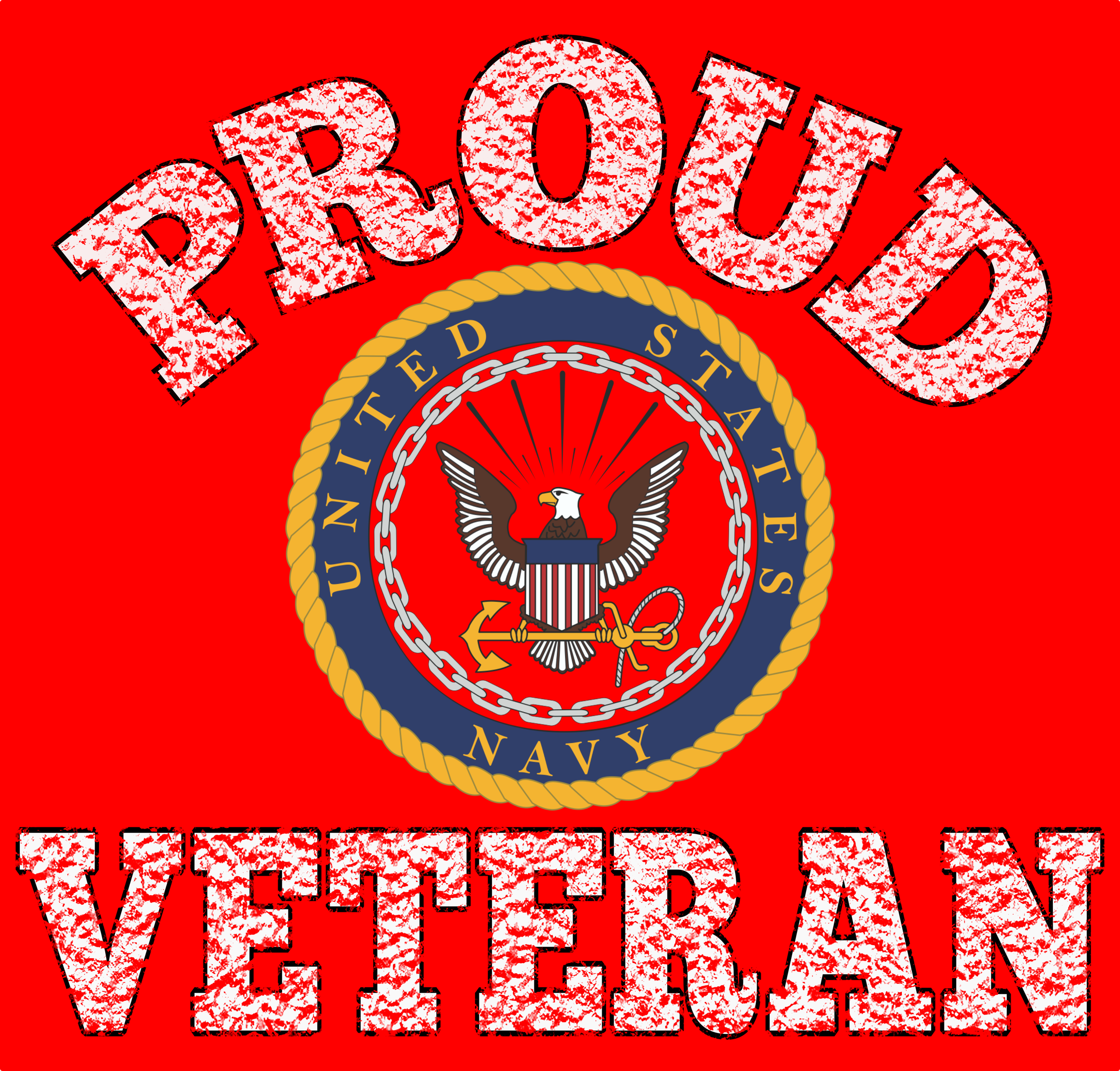 AIR FORCE VET9.png