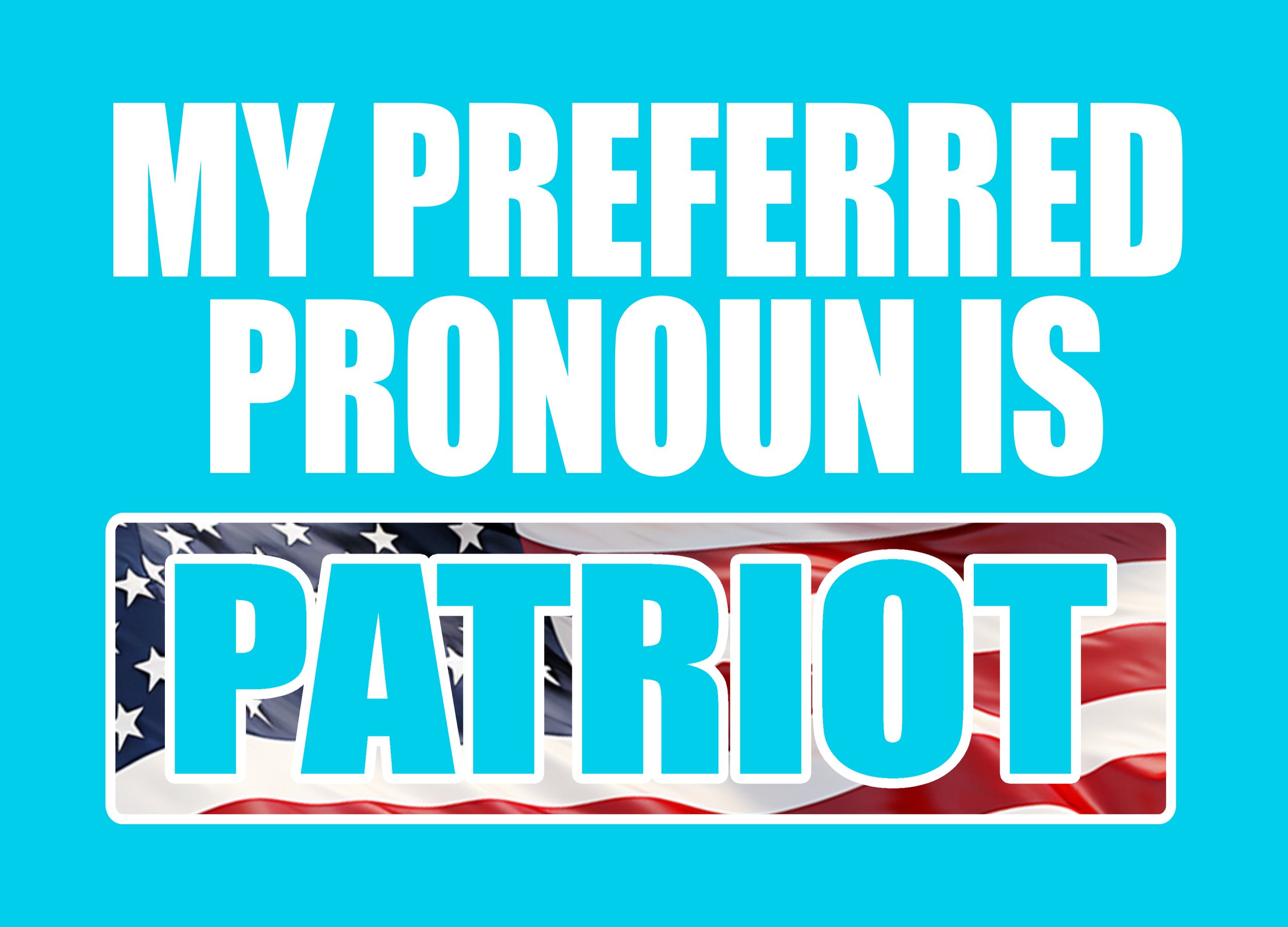PRONOUN PATRIOT 7.png