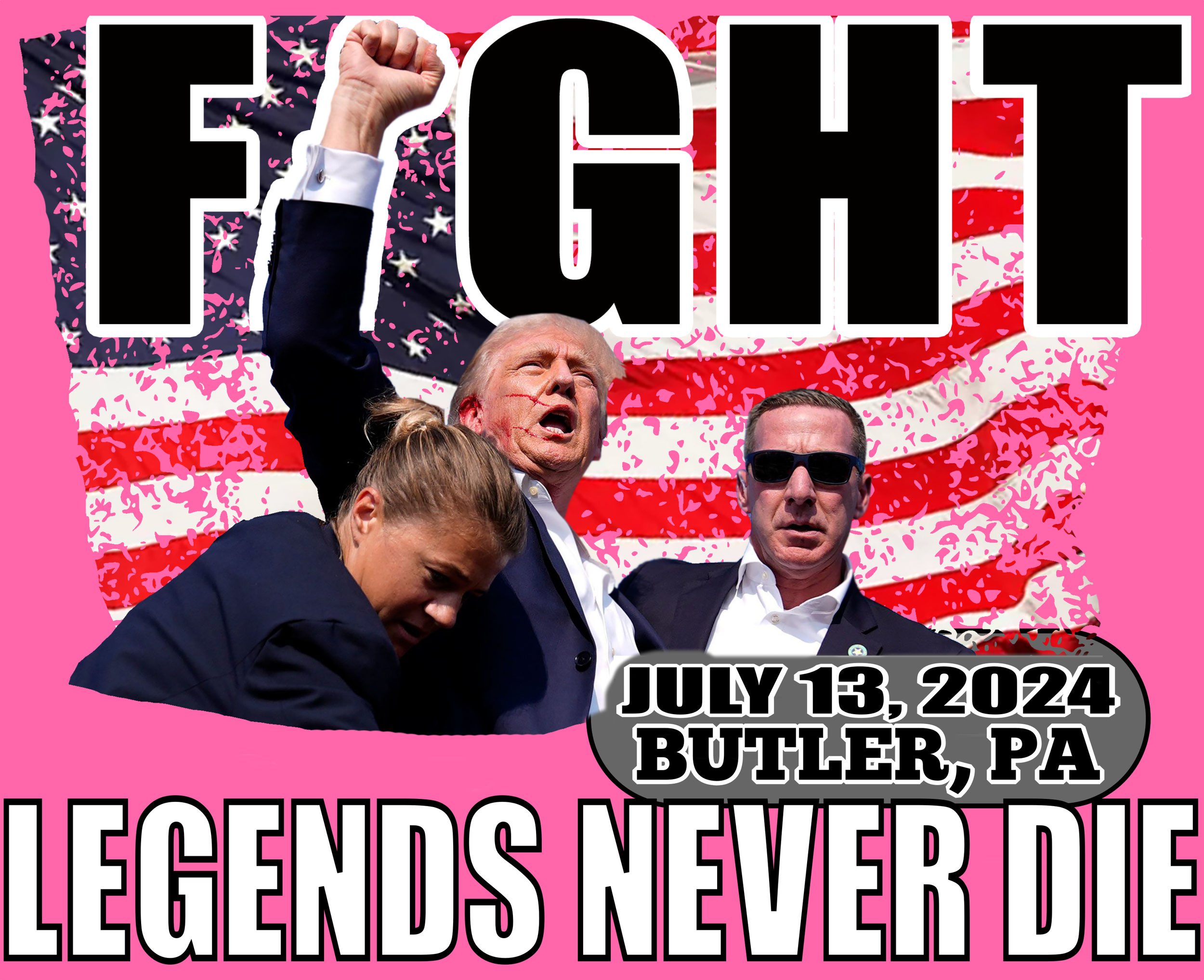 fightnew PINK.png