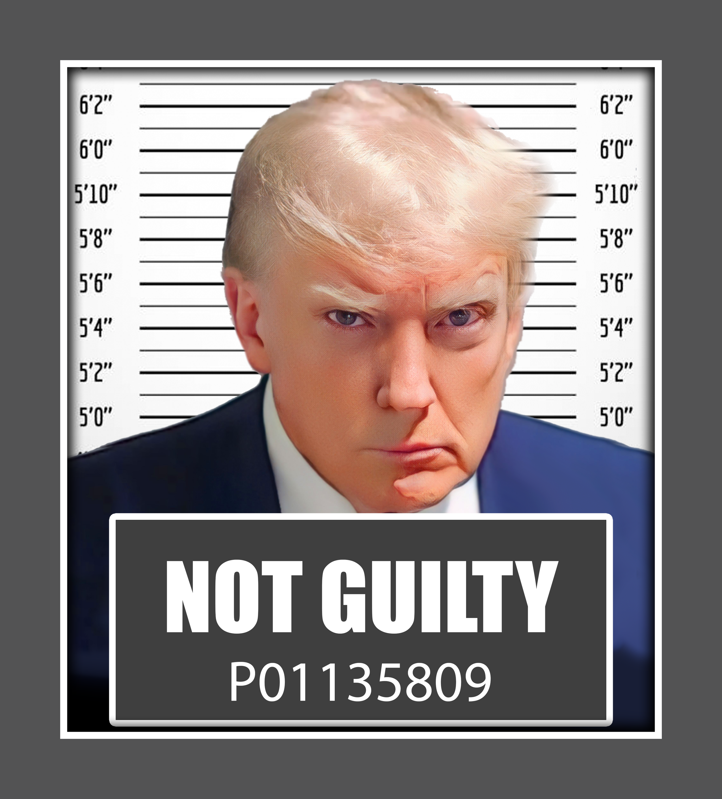 NOT GUILTY 2.png