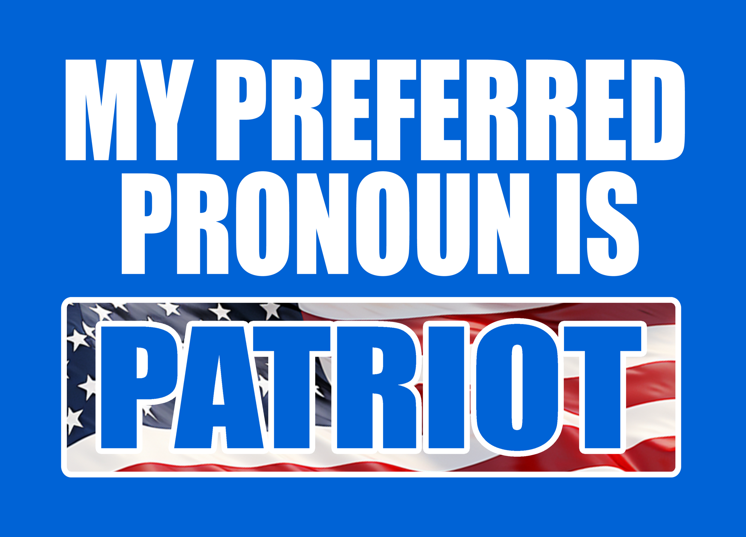 PRONOUN PATRIOT 6.png