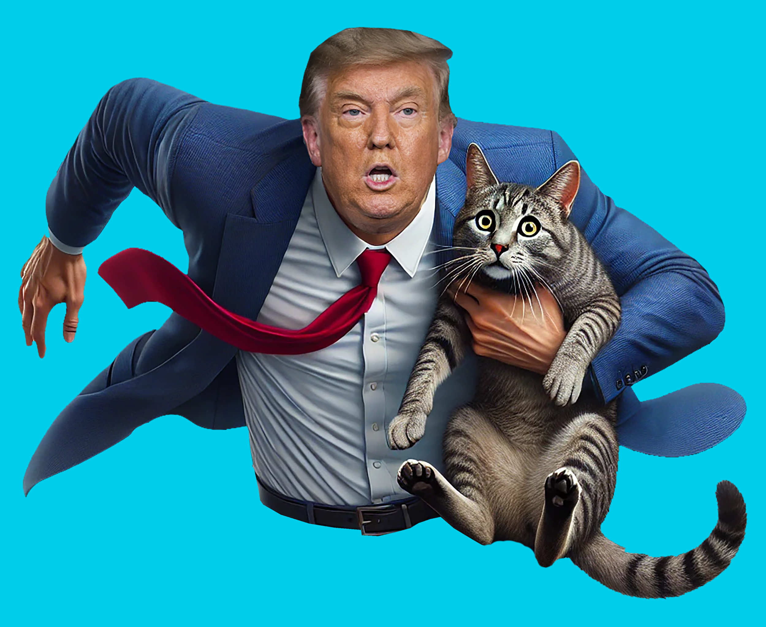 SAVE THE CATS 7.png