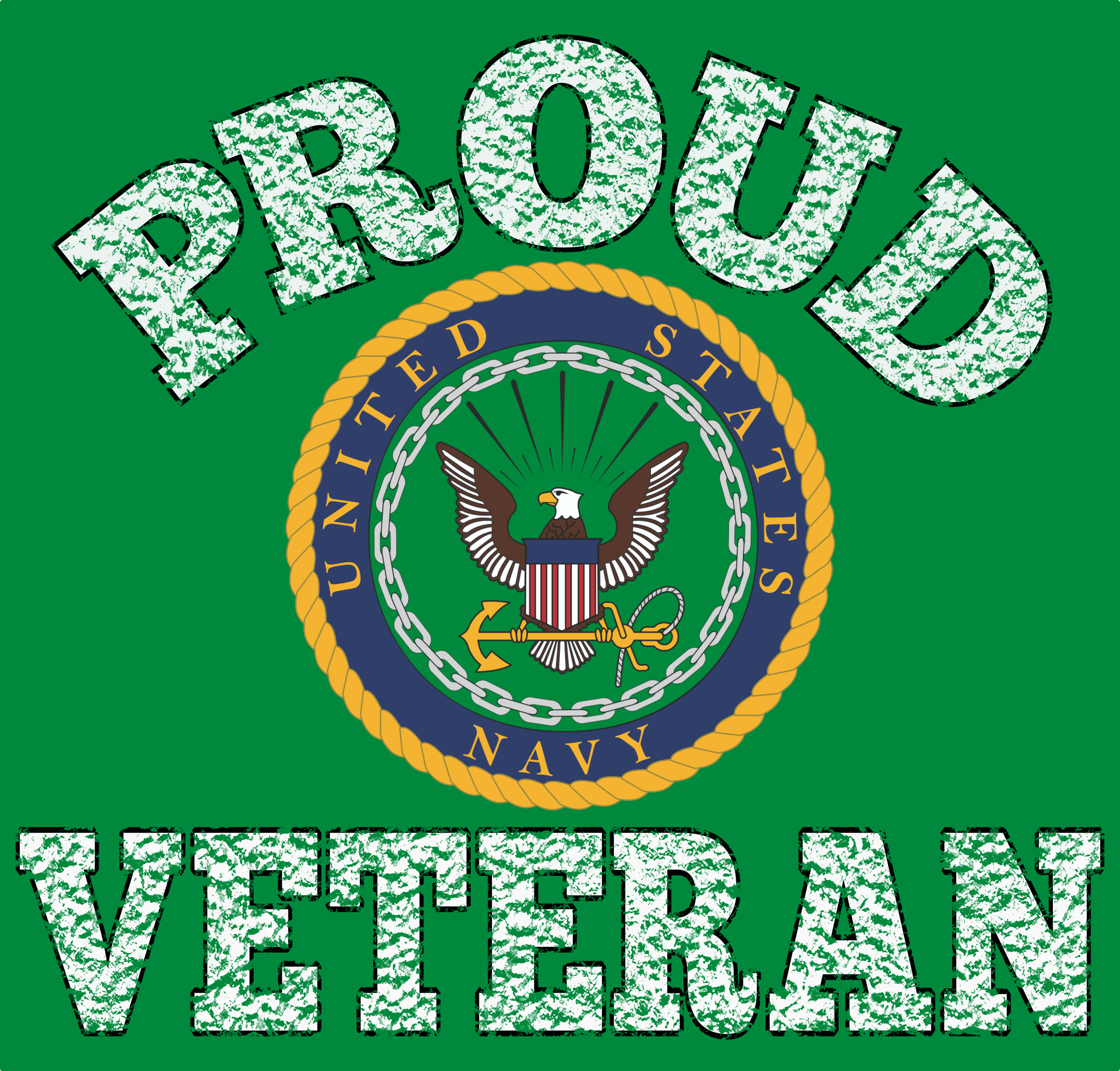 AIR FORCE VET16.png