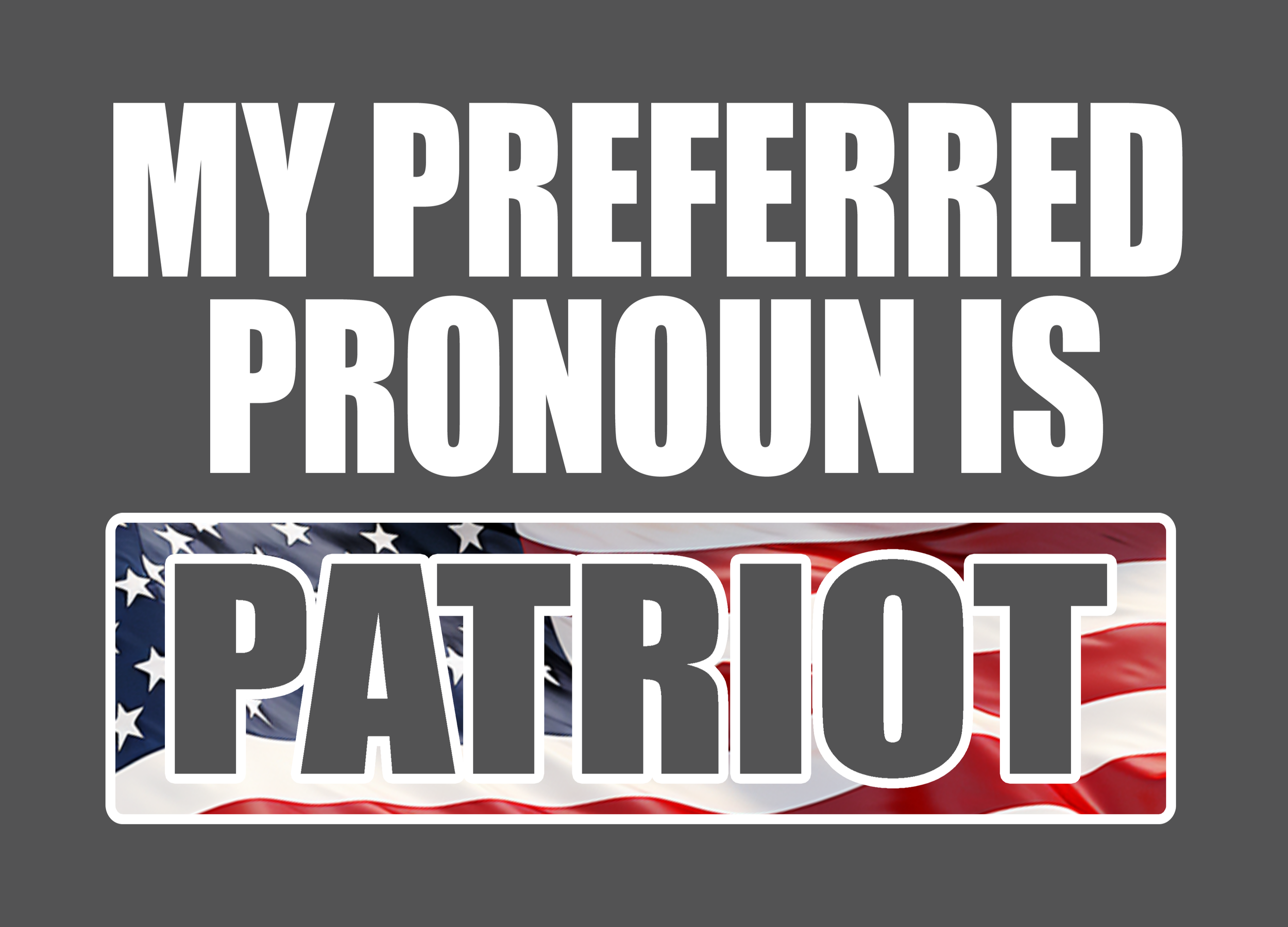 PRONOUN PATRIOT 2.png