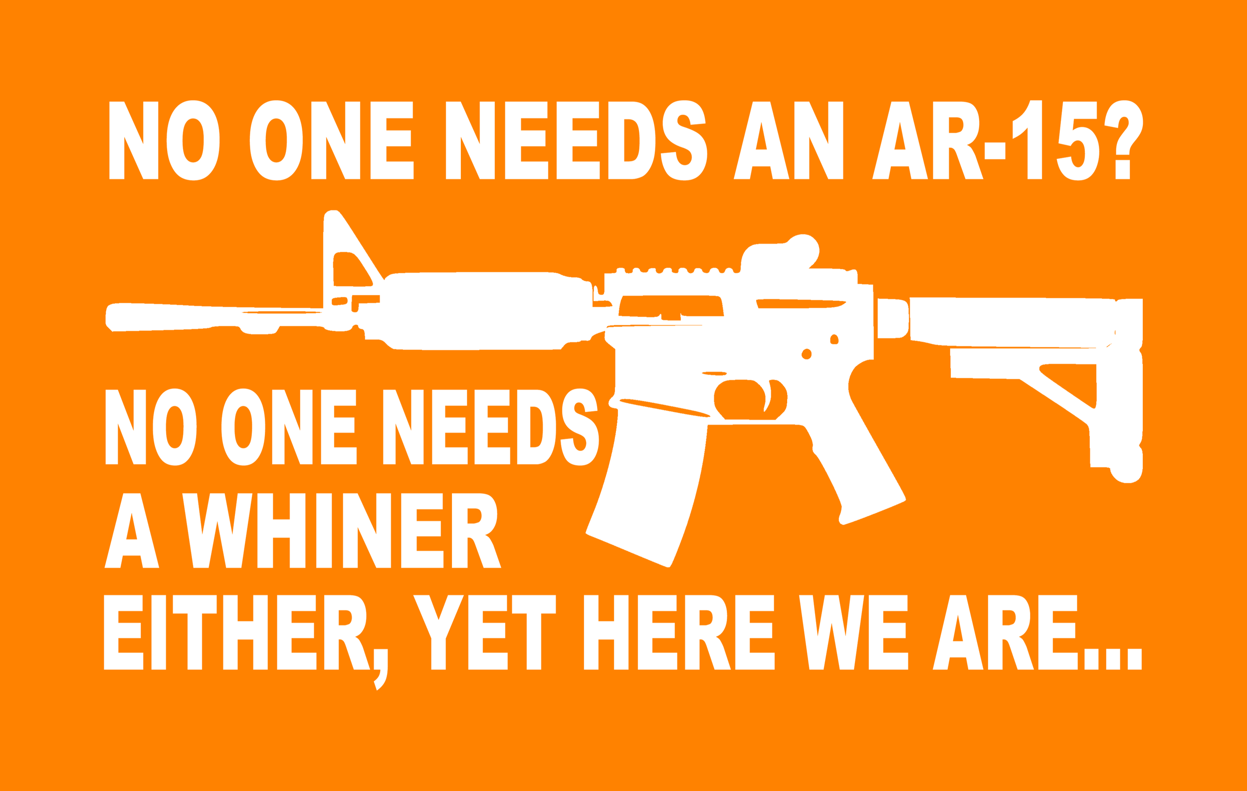 AR 17.png