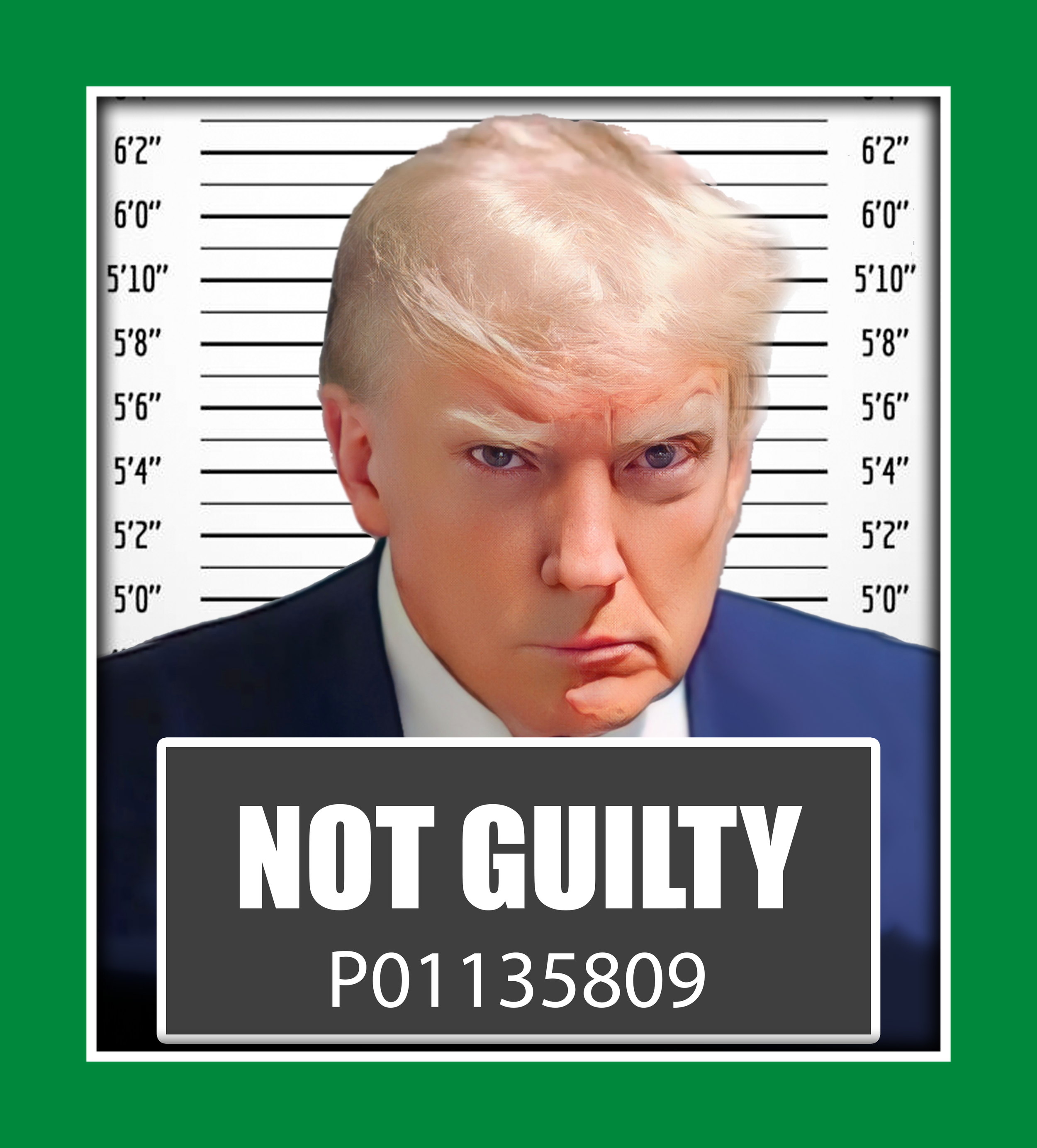 NOT GUILTY 16.png