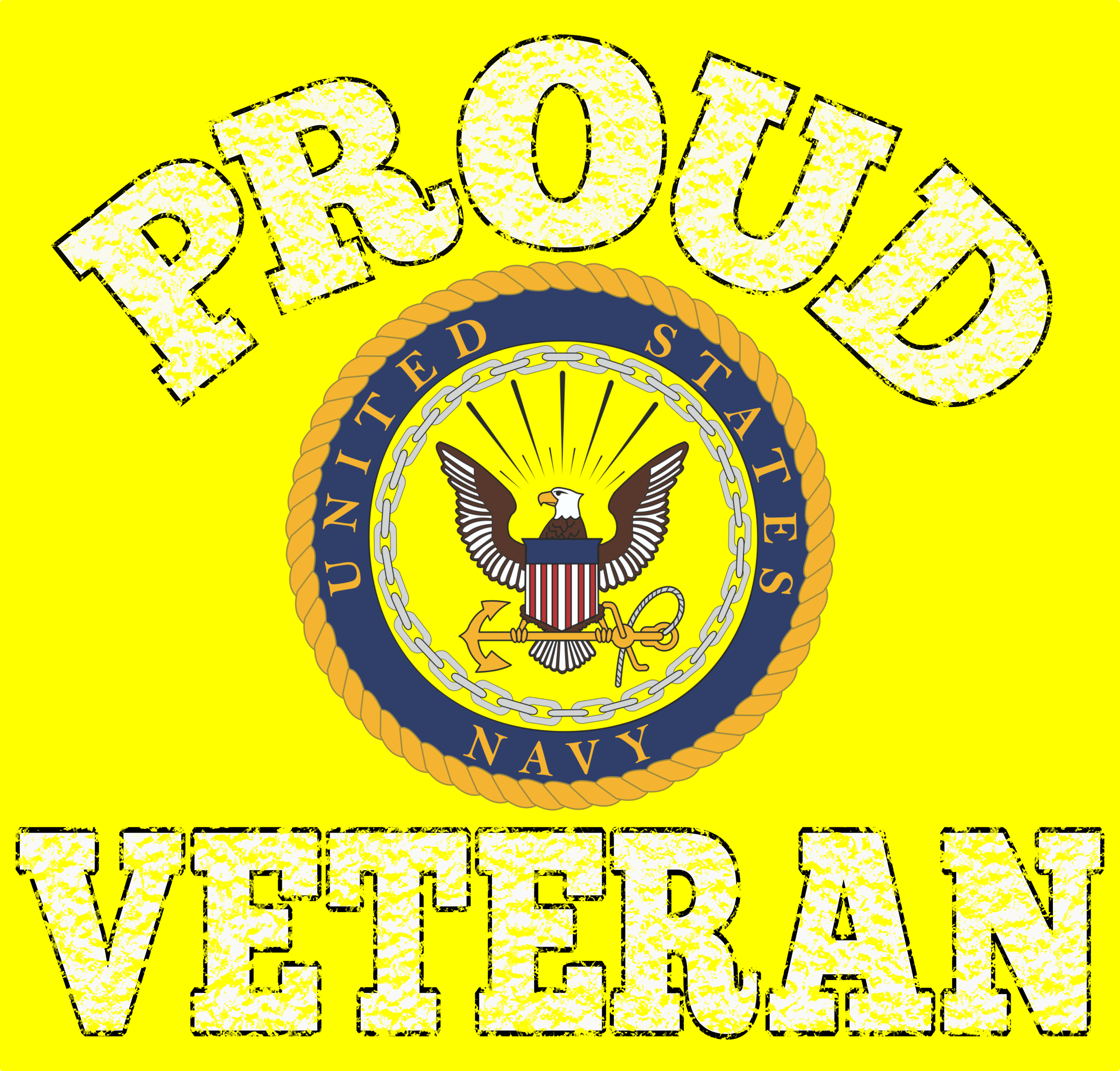 AIR FORCE VET13.png
