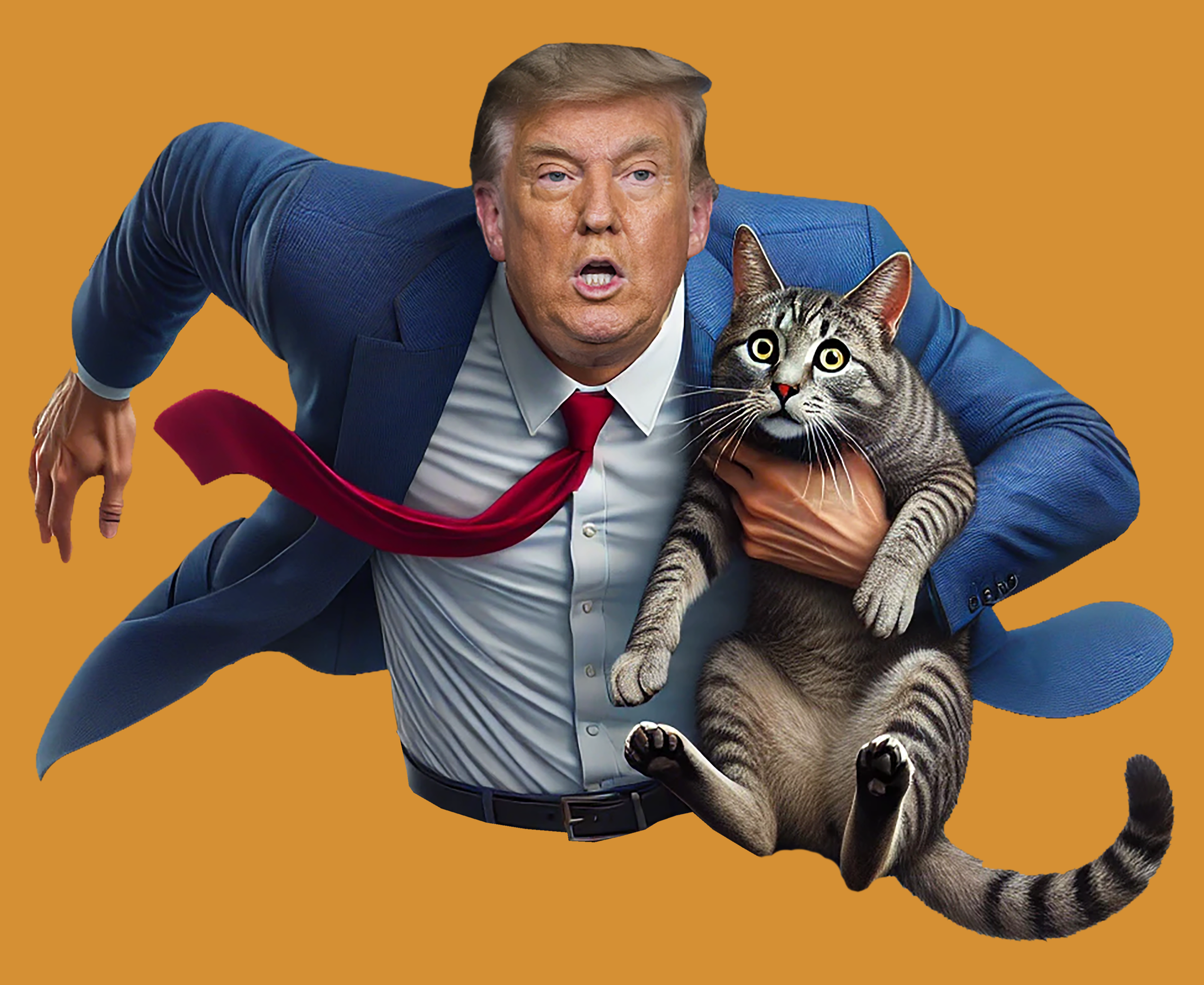 SAVE THE CATS 14.png