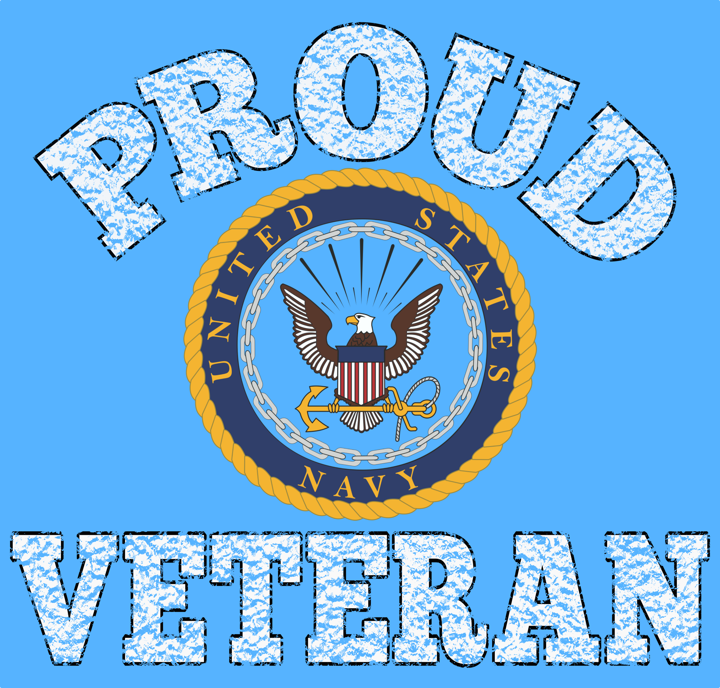 AIR FORCE VET8.png