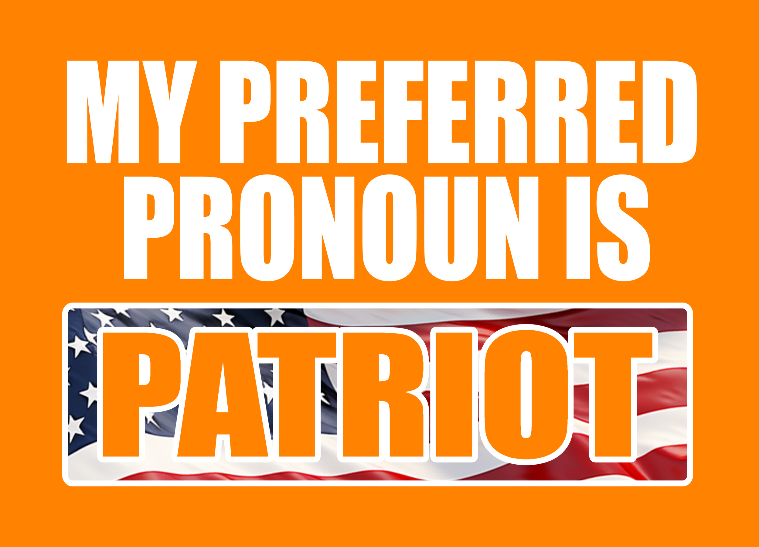PRONOUN PATRIOT 17.png