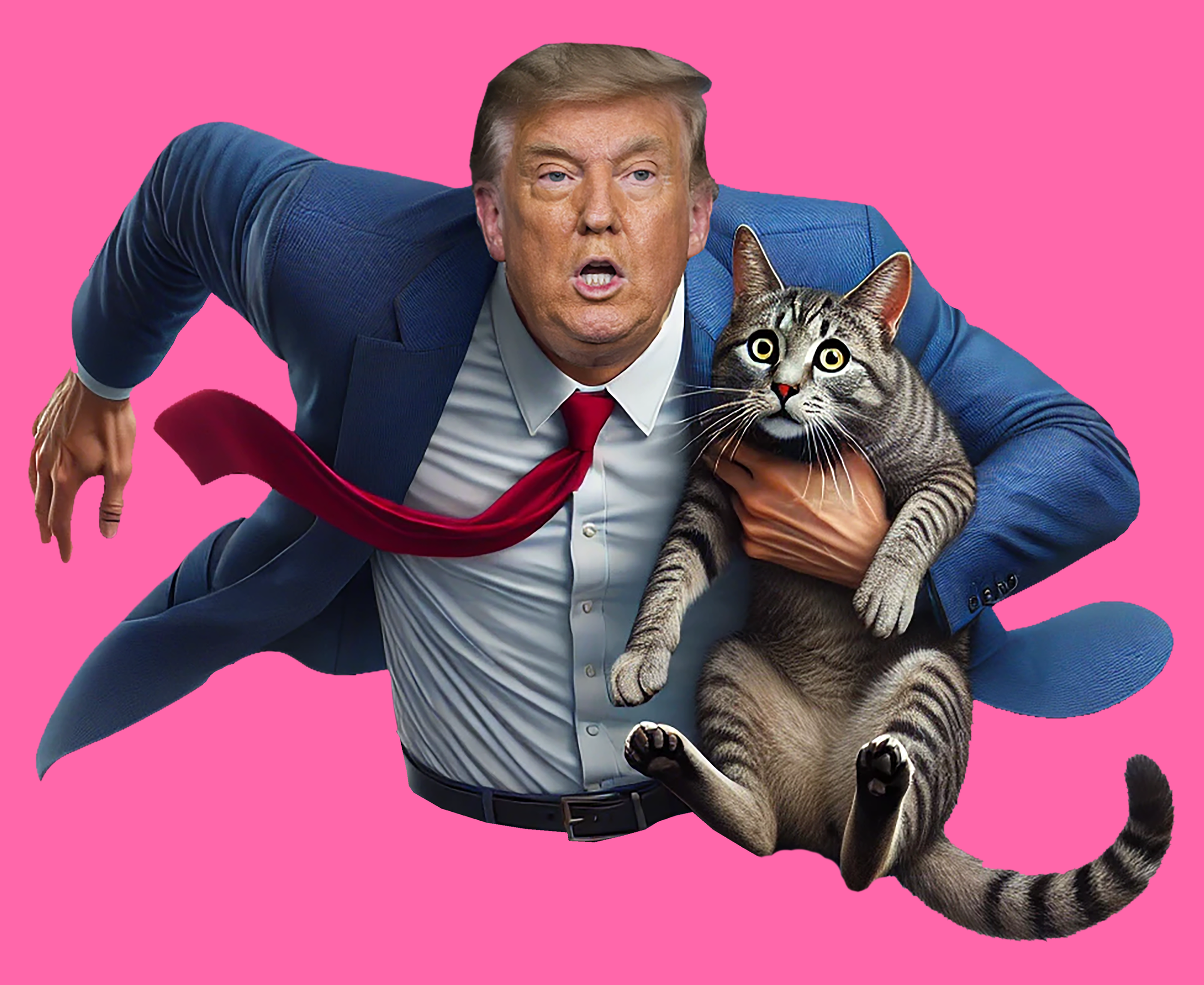 SAVE THE CATS 11.png