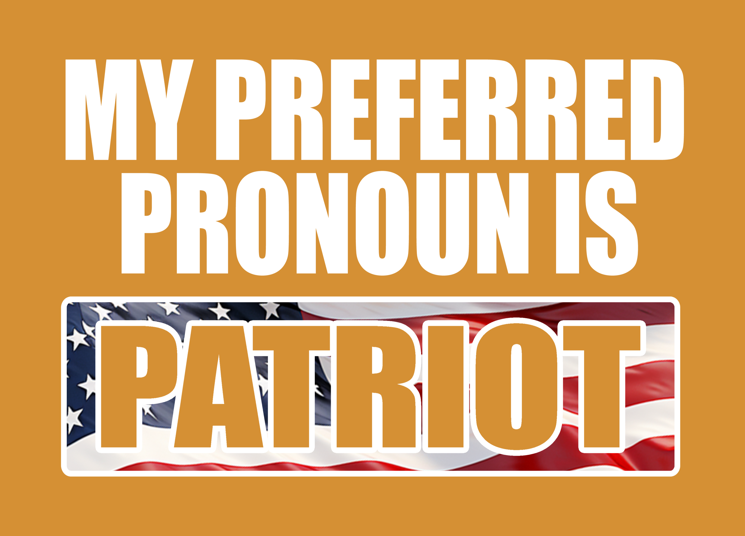 PRONOUN PATRIOT 14.png