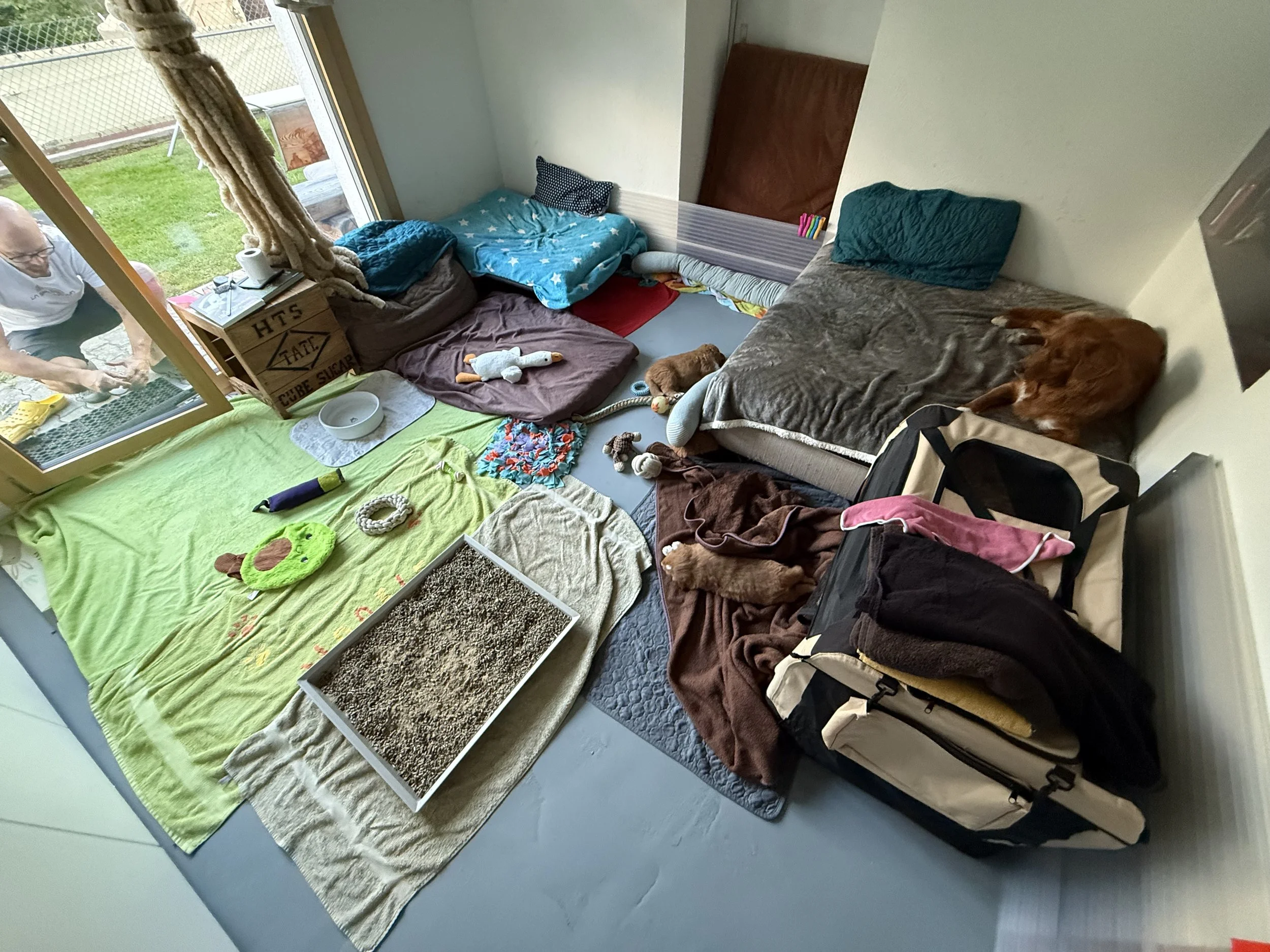 Welpenzimmer