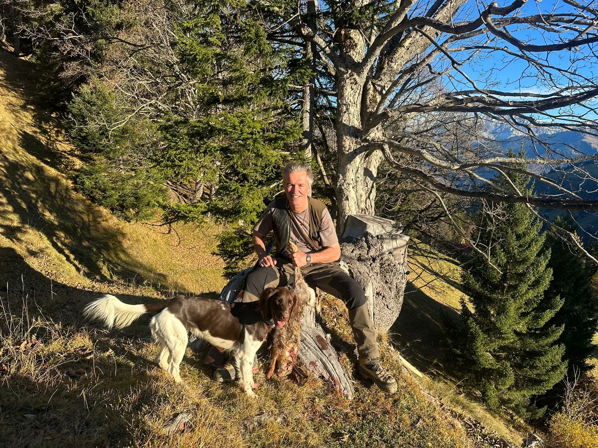 WMH für die Hasenjagd 