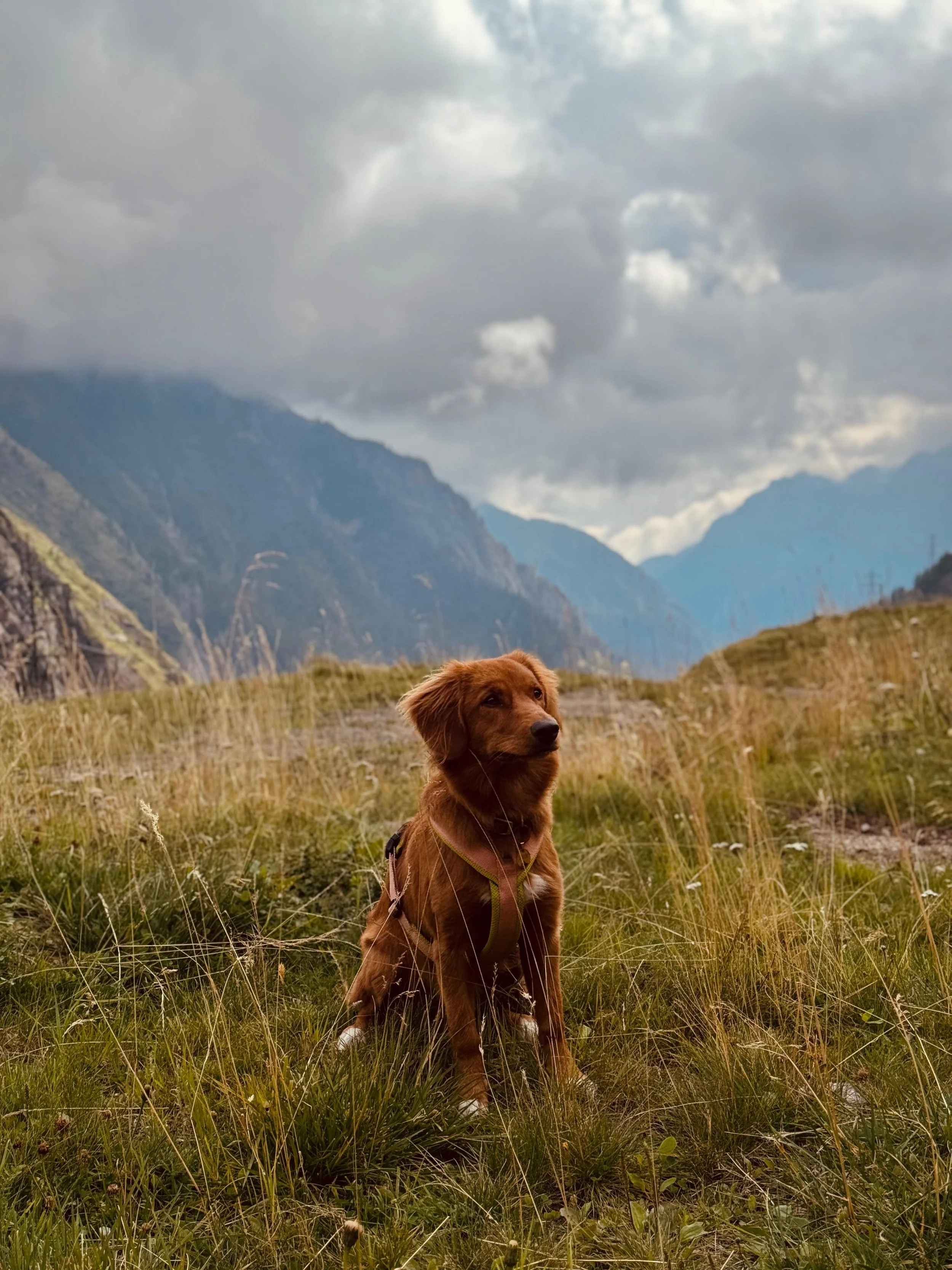PHOTO-2025-08-28-09-21-21 2.jpg