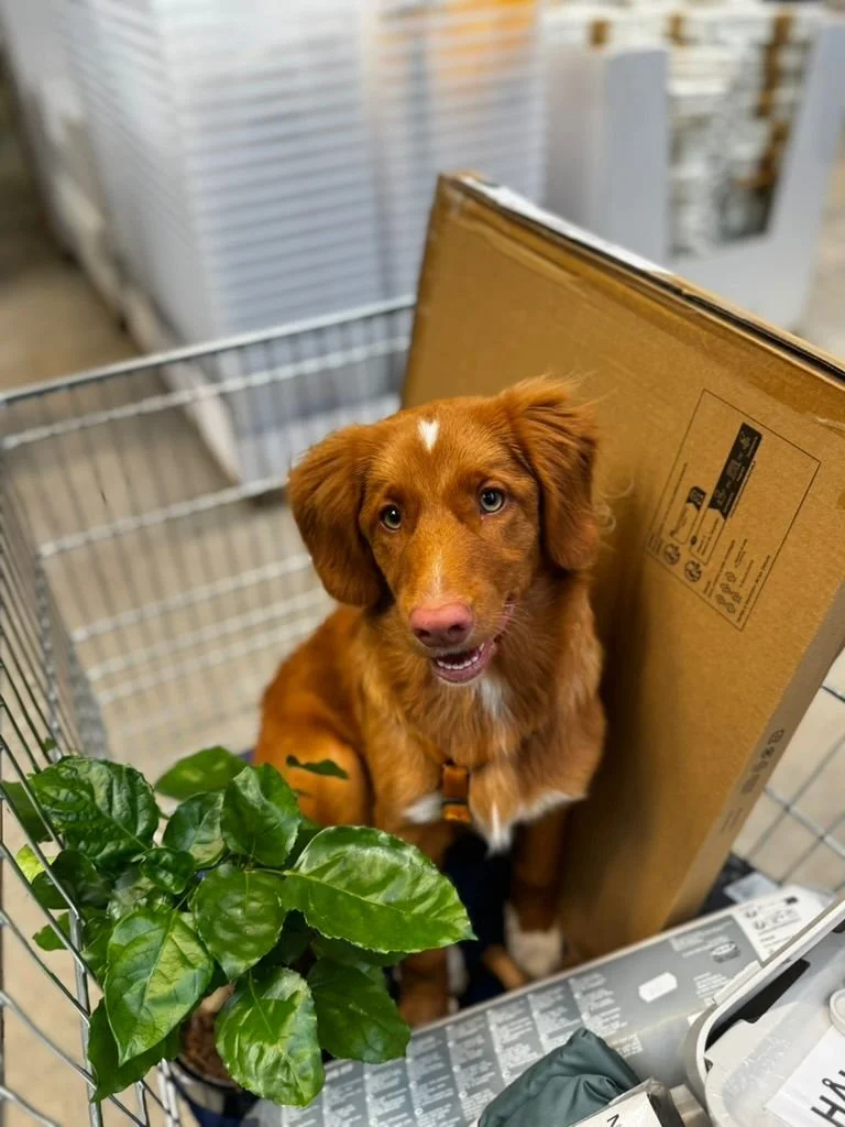 PHOTO-2025-08-28-09-26-26 2.jpg