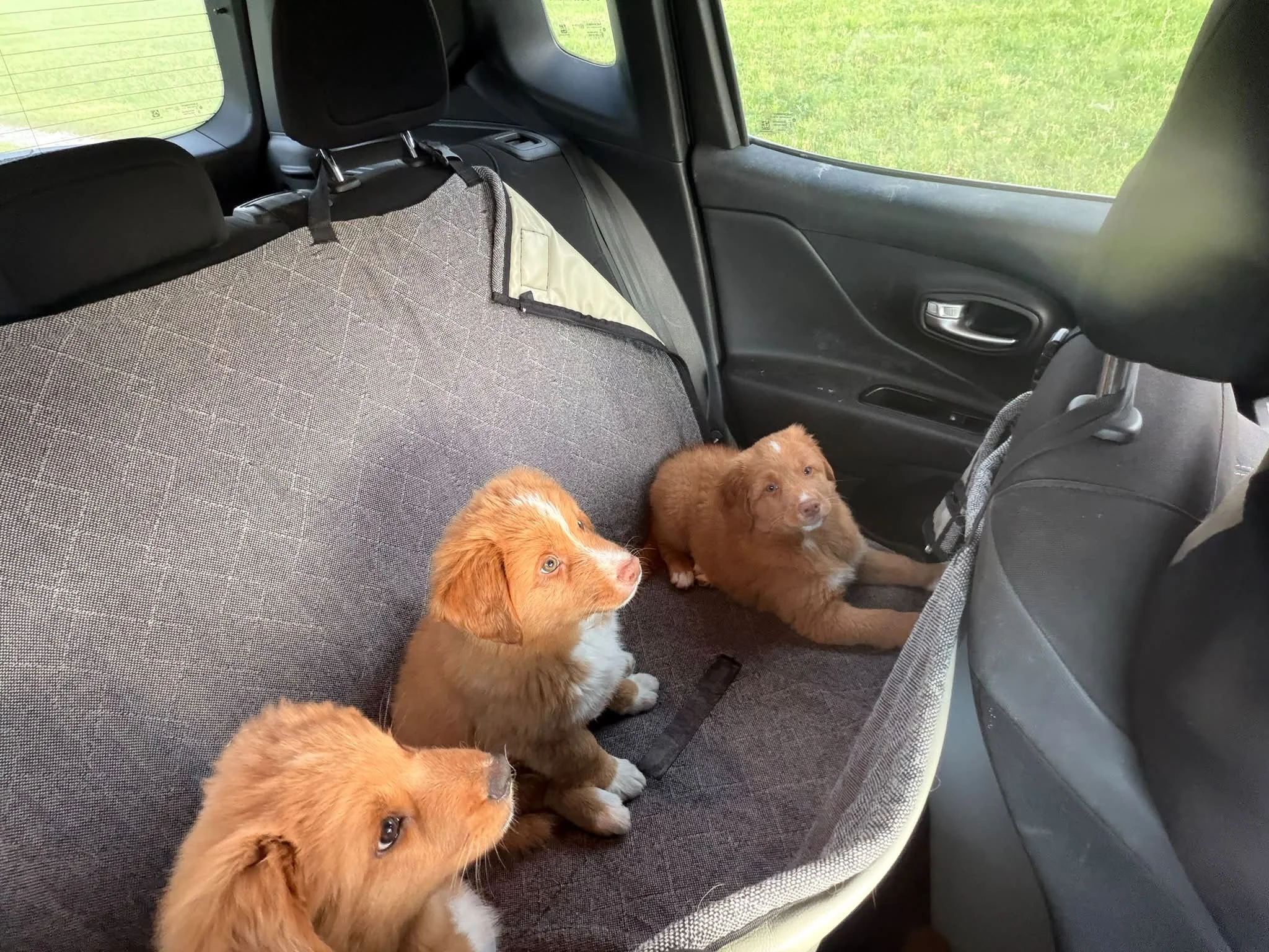 entspannt im Auto