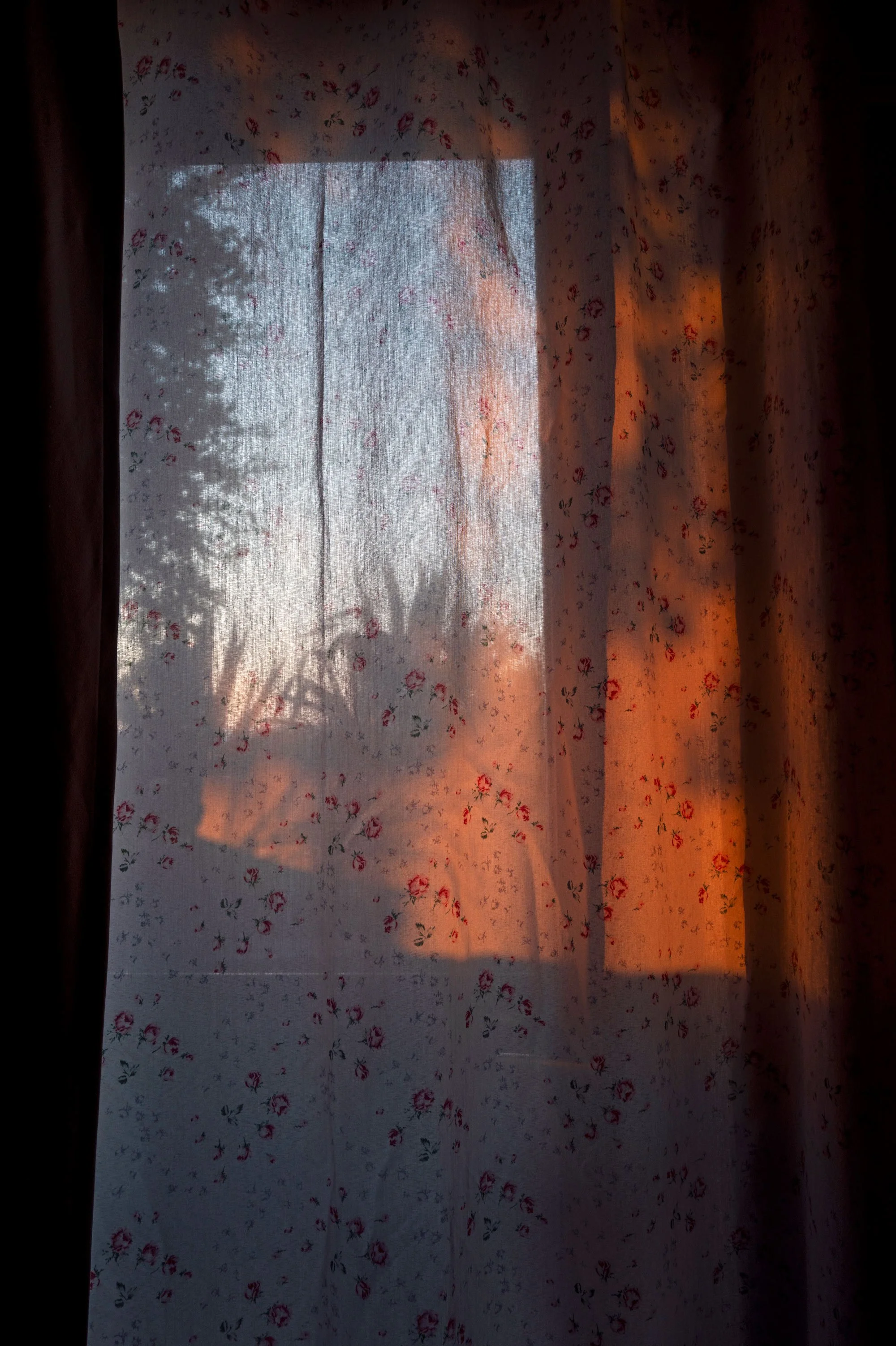 Lou_Melchior_2408_W4.jpg