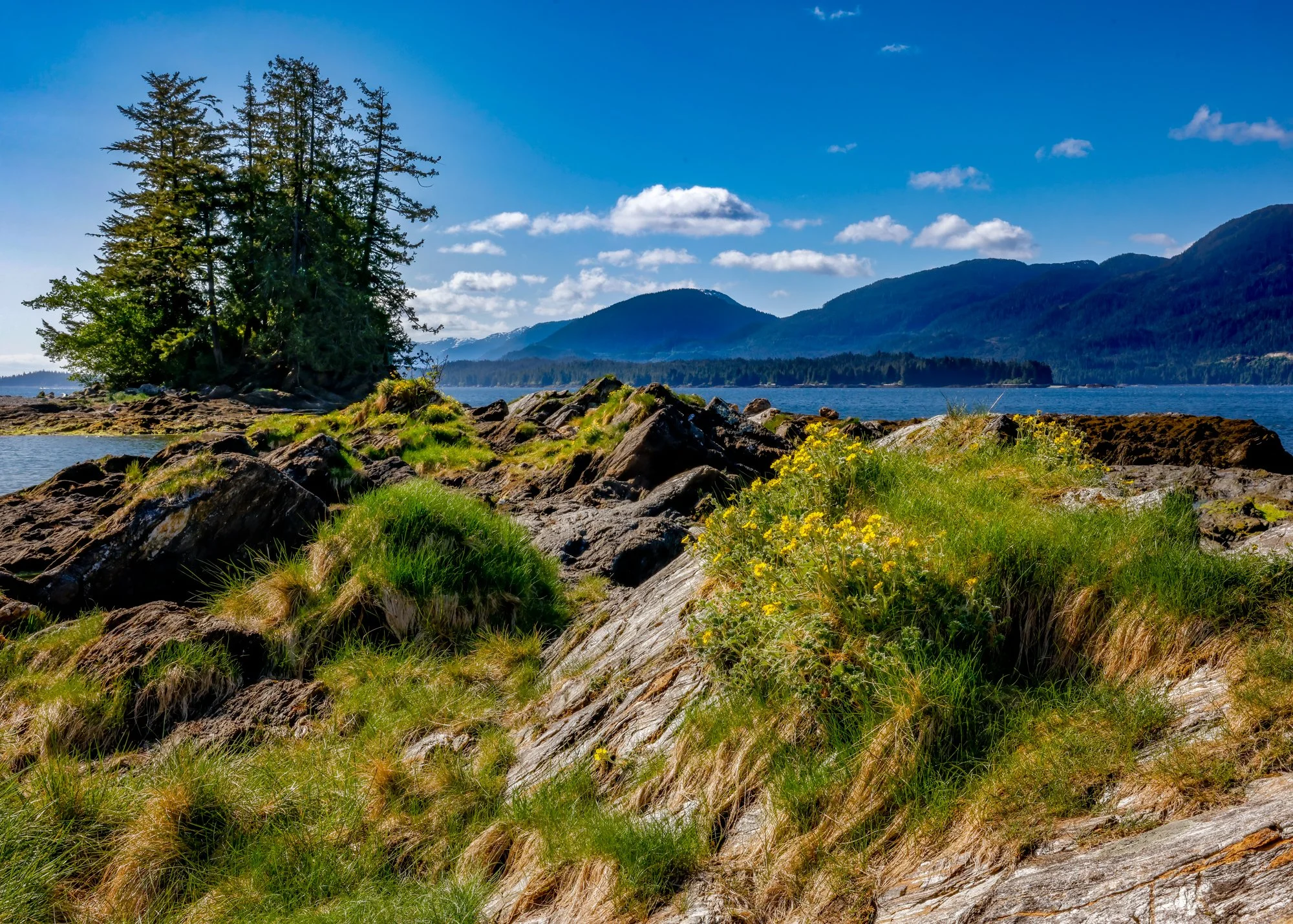 Resilience - Bellagio International Gallery Collection