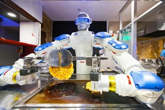 DOWN AND OUT IN THE ROBOT KINGDOM