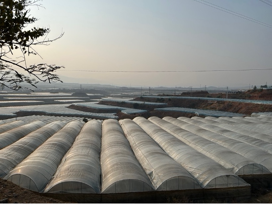 The Rise of a Gendered and Generational Labor Regime in Rural China