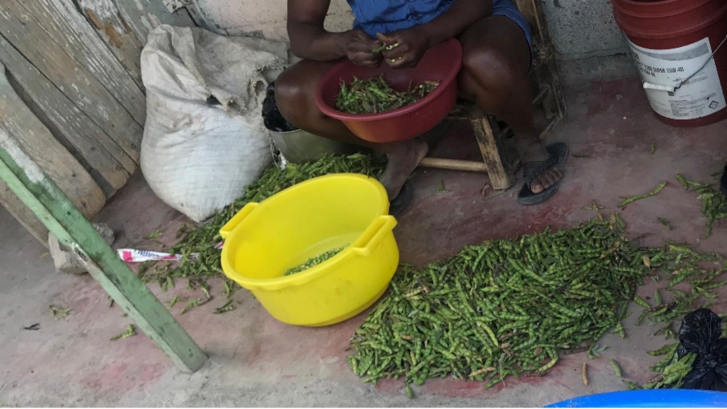 Peas in a Pod: Pleasure for Consumers, Profit for the Nation, and Poverty for the Peelers