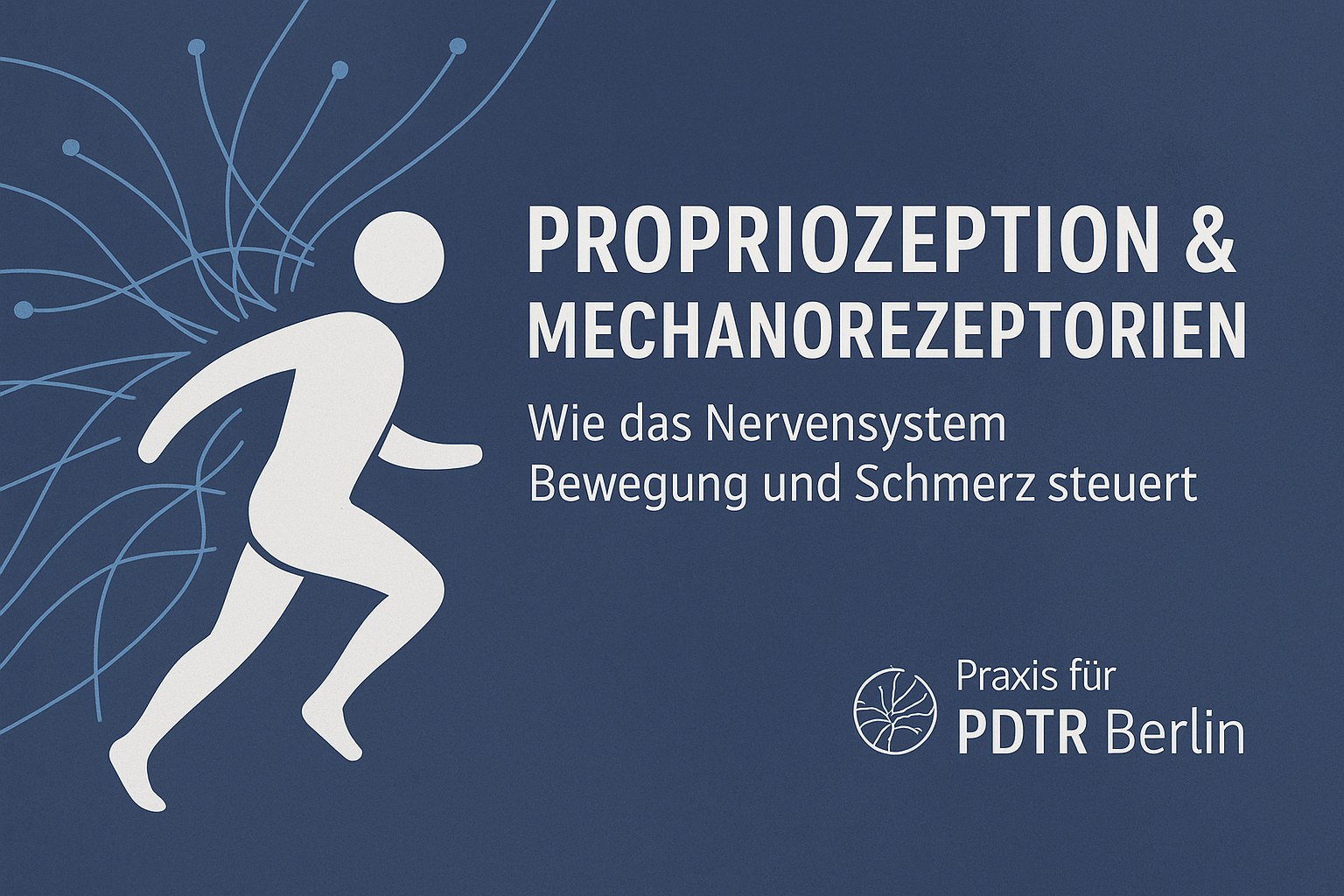 Propriozeptoren und Mechanorezeptoren: Wie PDTR Berlin bei alten Verletzungen hilft
