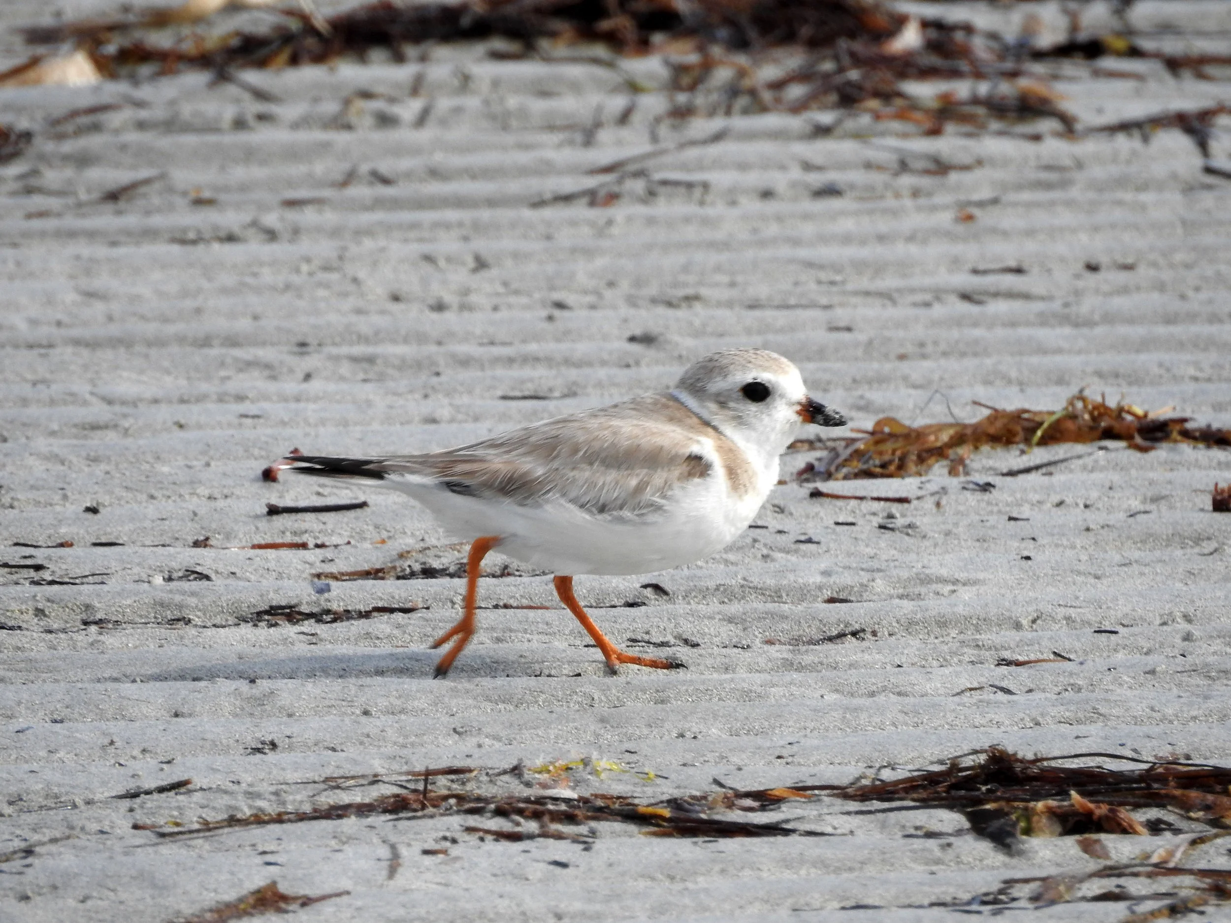 Miami Parks Half Day Tour