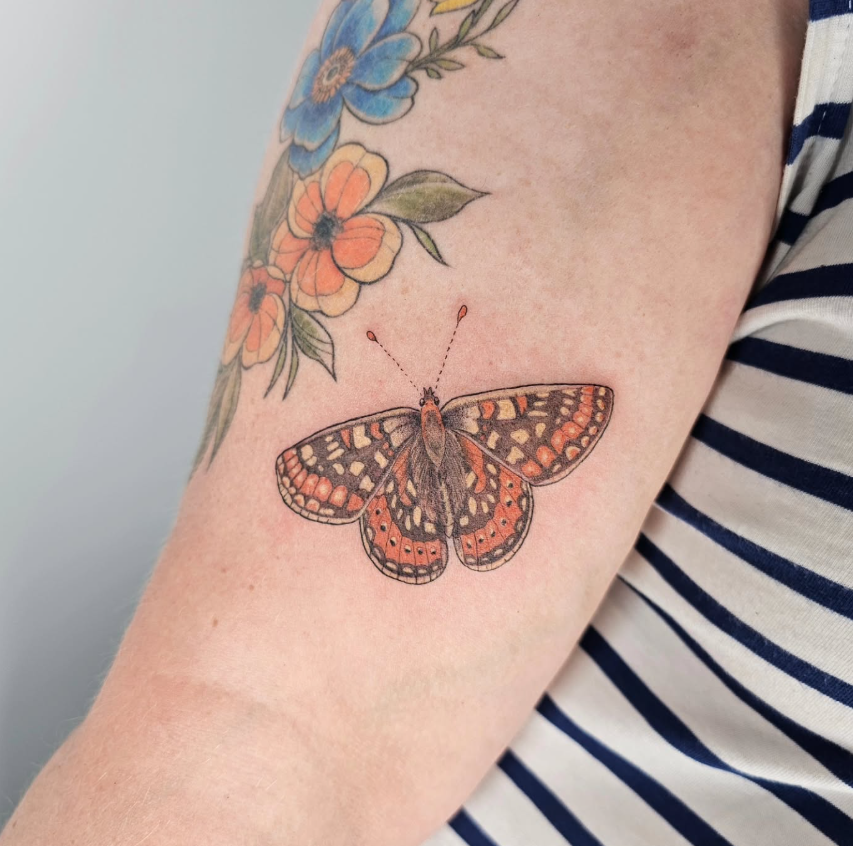 Screenshot 2026-01-28 132934.png