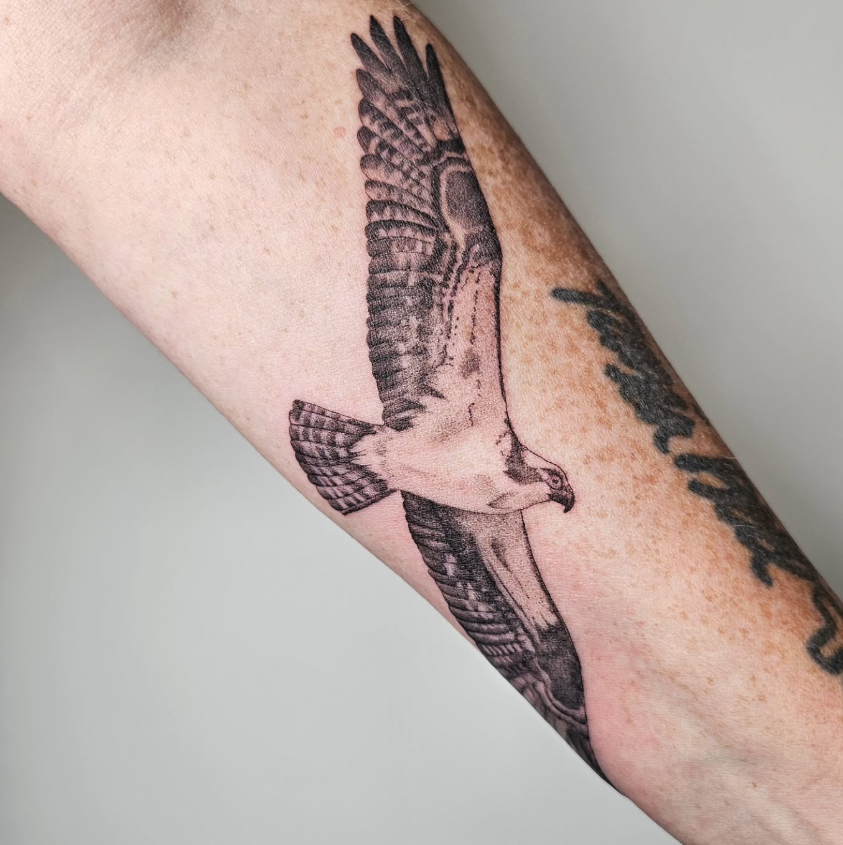 Screenshot 2026-01-28 125633.png