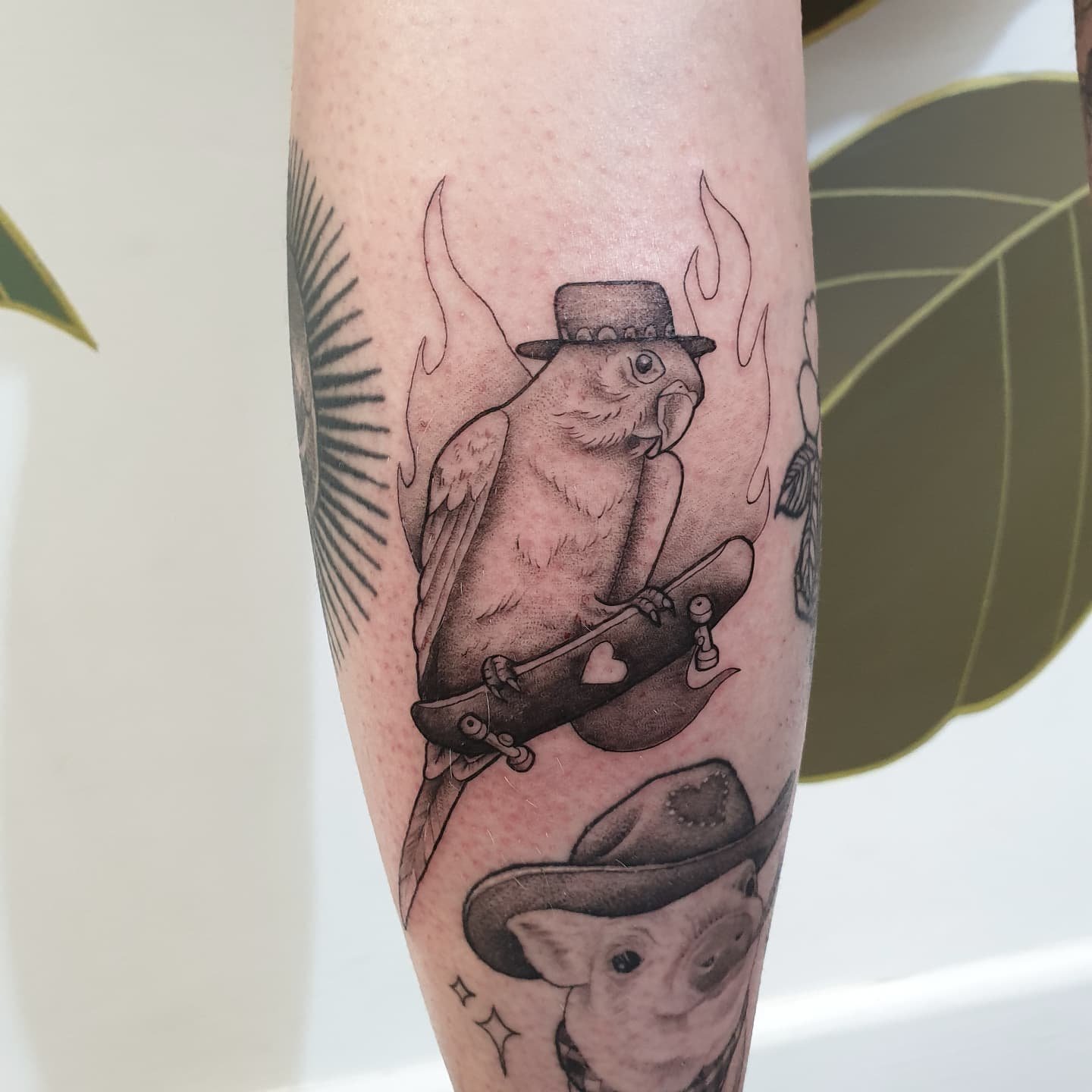 bir on skateboard.jpeg