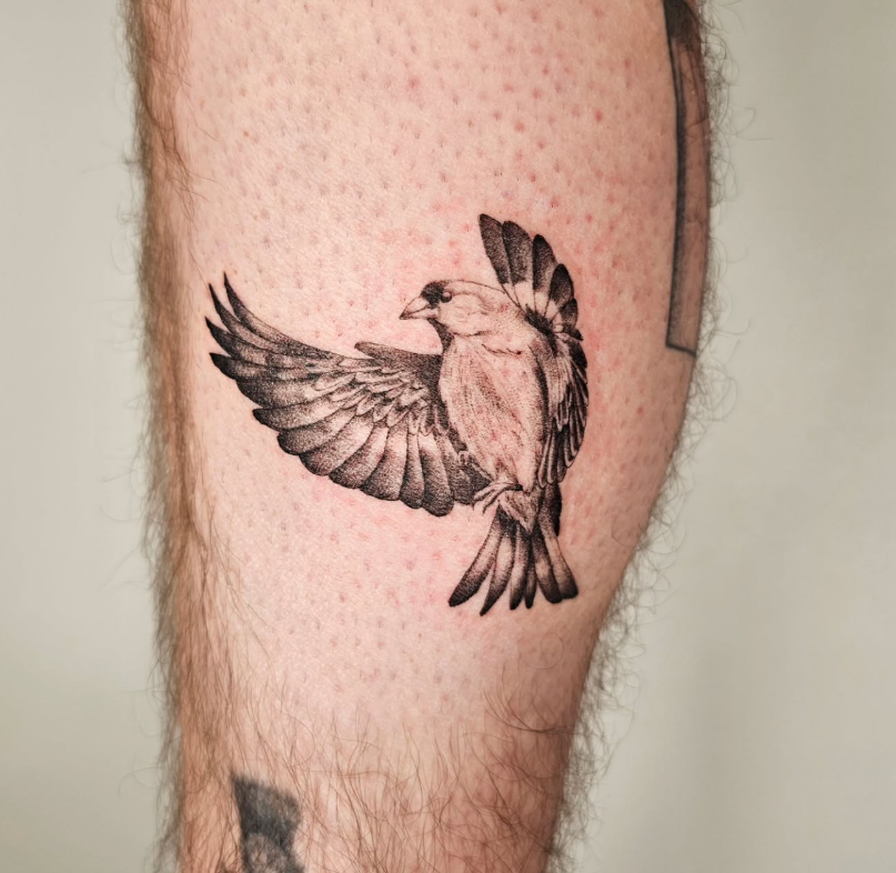 Screenshot 2026-01-28 134807.png