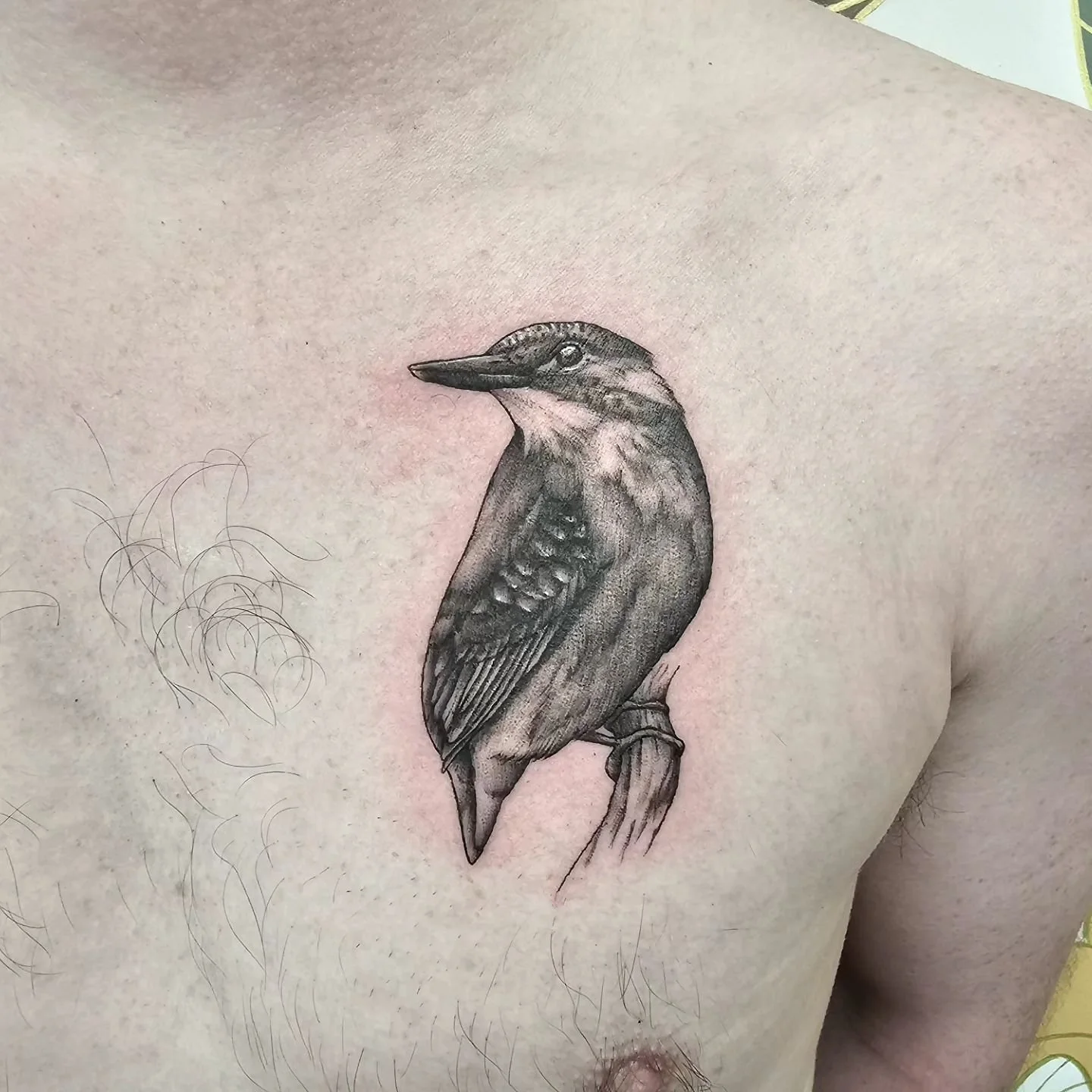 Kingfisher tattoo.jpeg