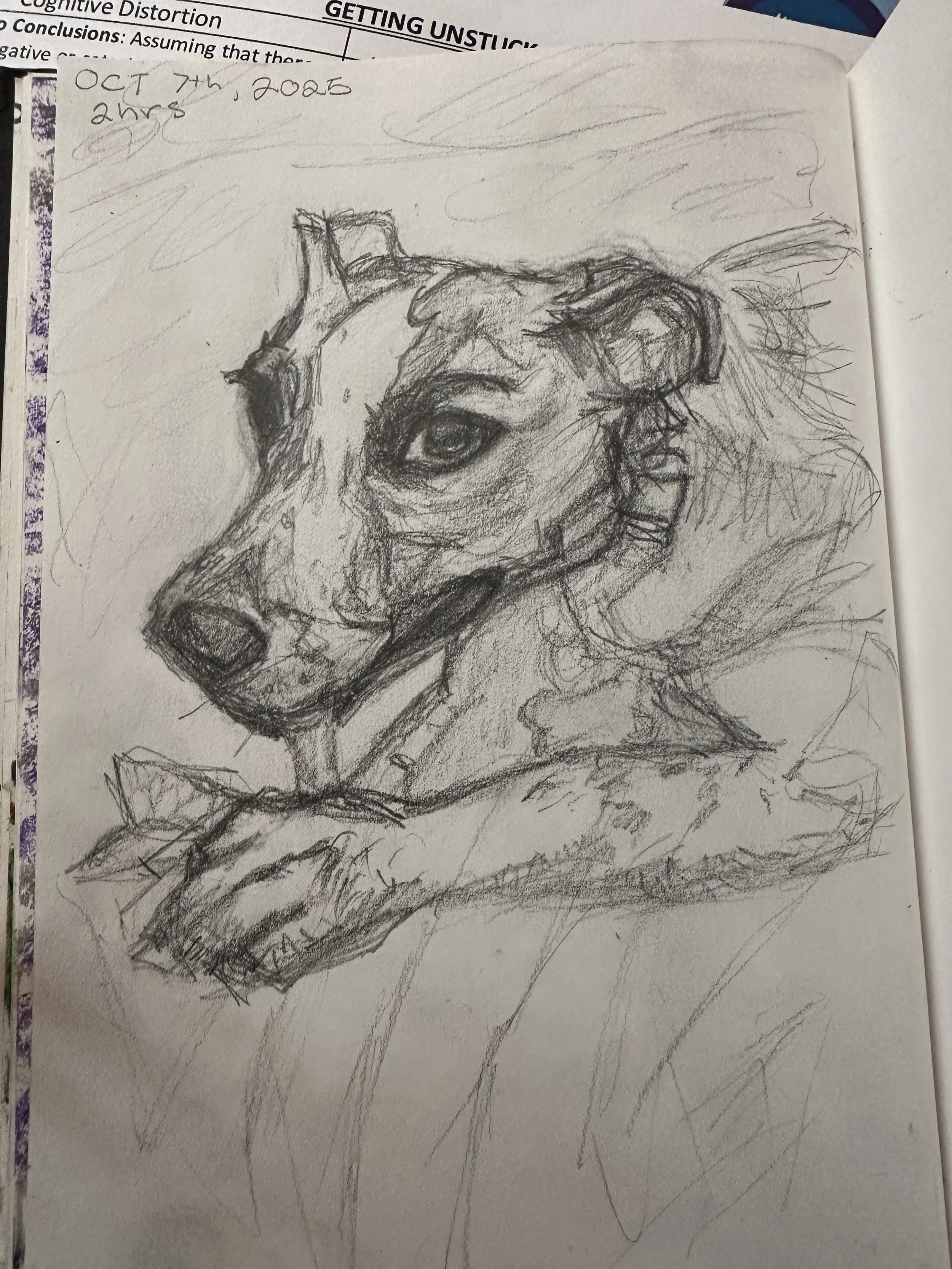 pencil. 2 hour study. 2025