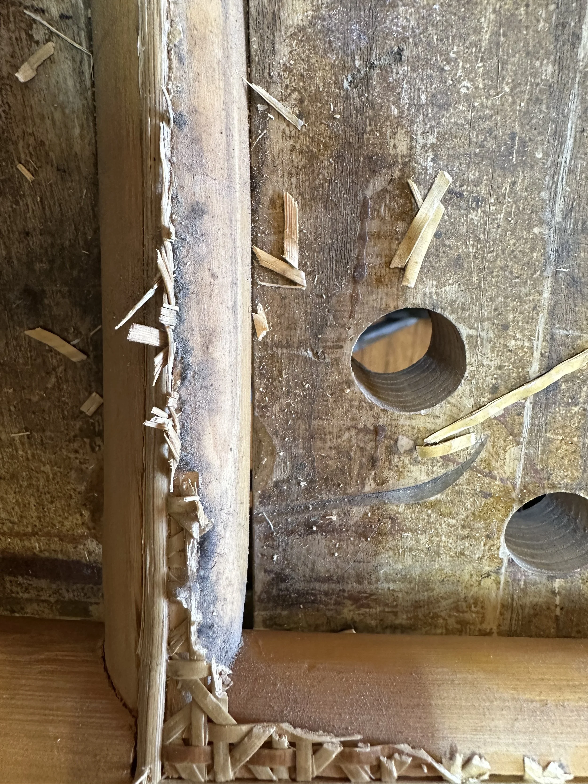 I used a skew and malate to work the cane. Hyde glue with a syringe, and rounded thin wood to ease the new cane into place. I enjoyed working on a small, detailed scale. 