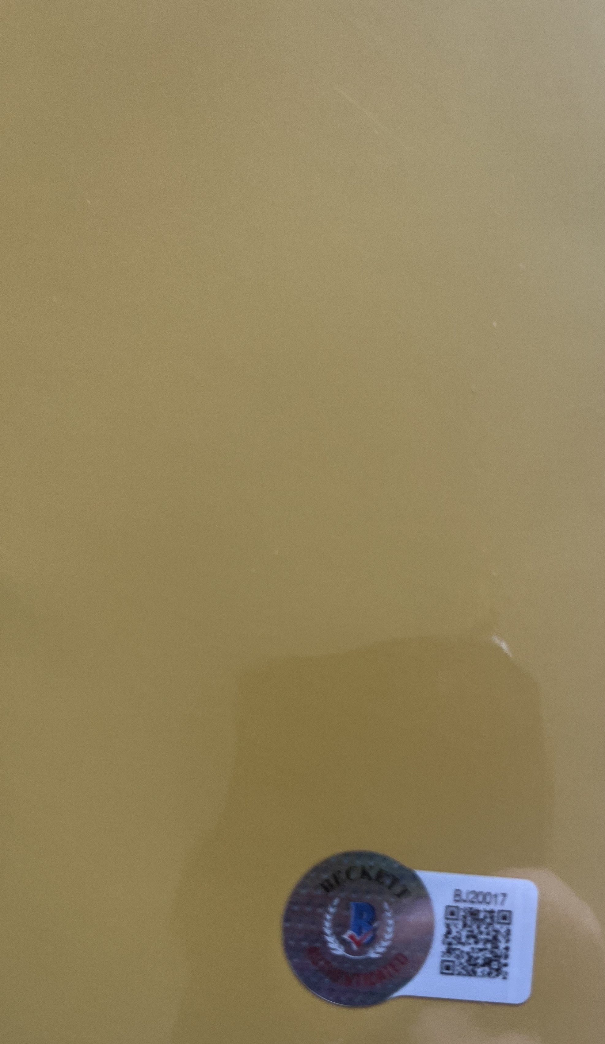 IMG_7718.jpeg