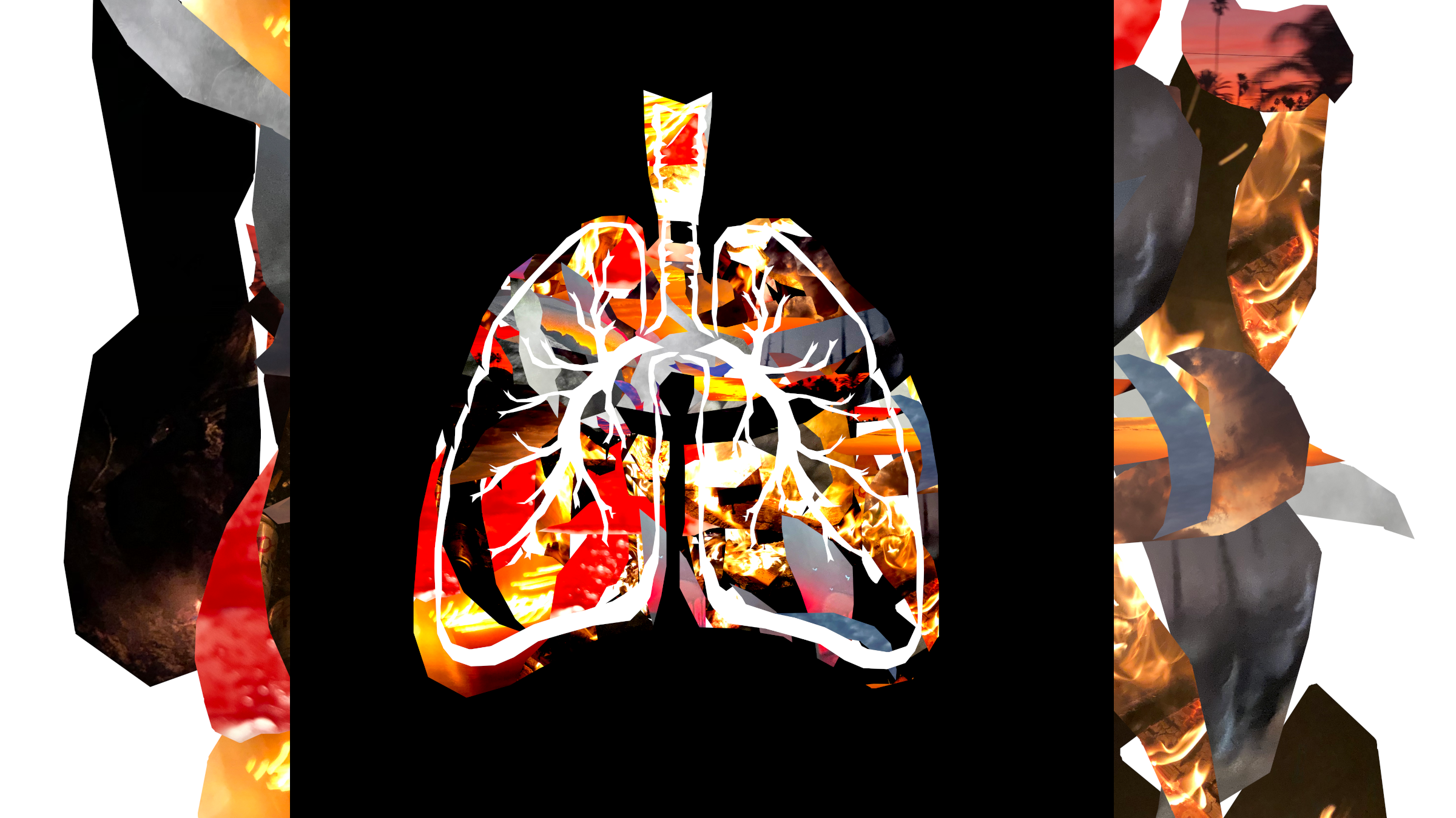 cancer letter fire header.png