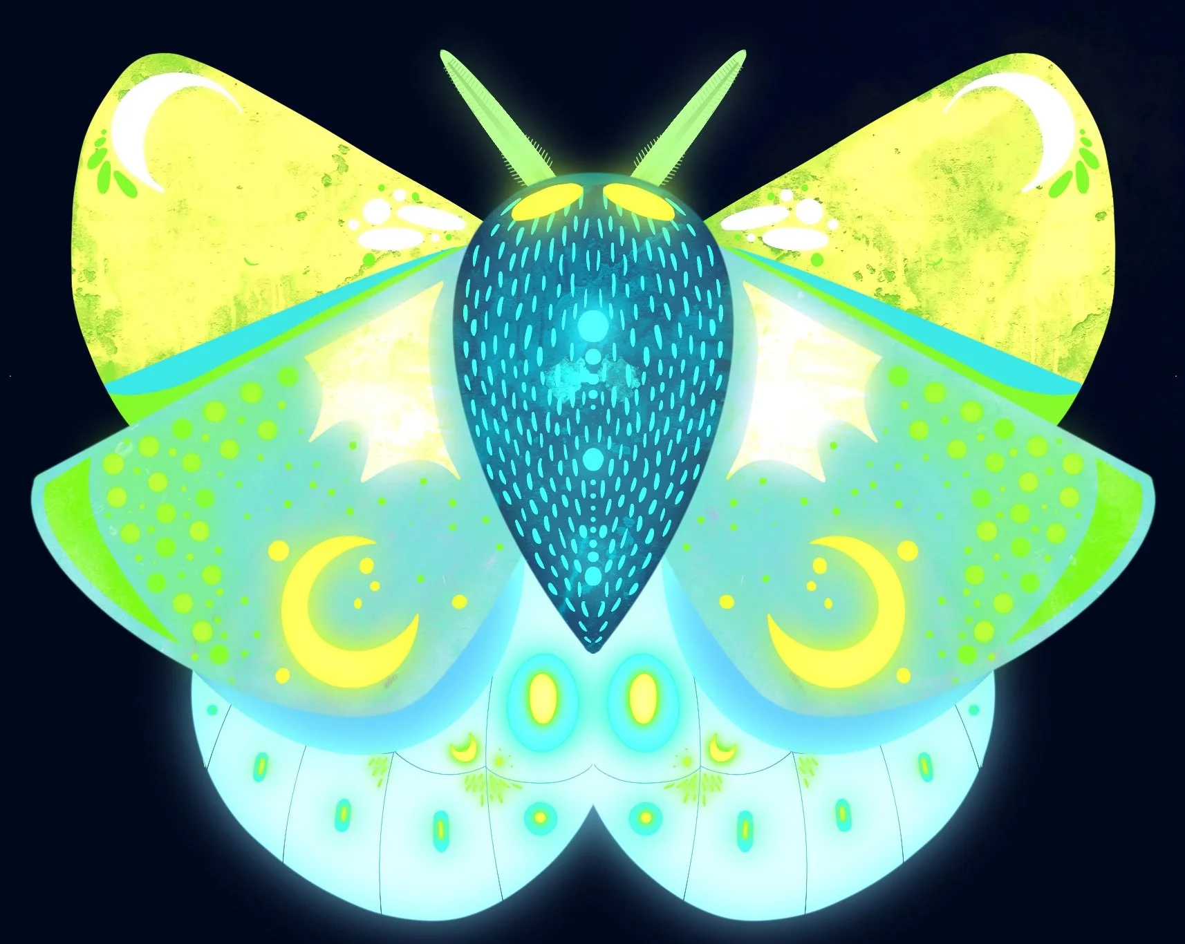 Untitled_Artwork 3.jpg