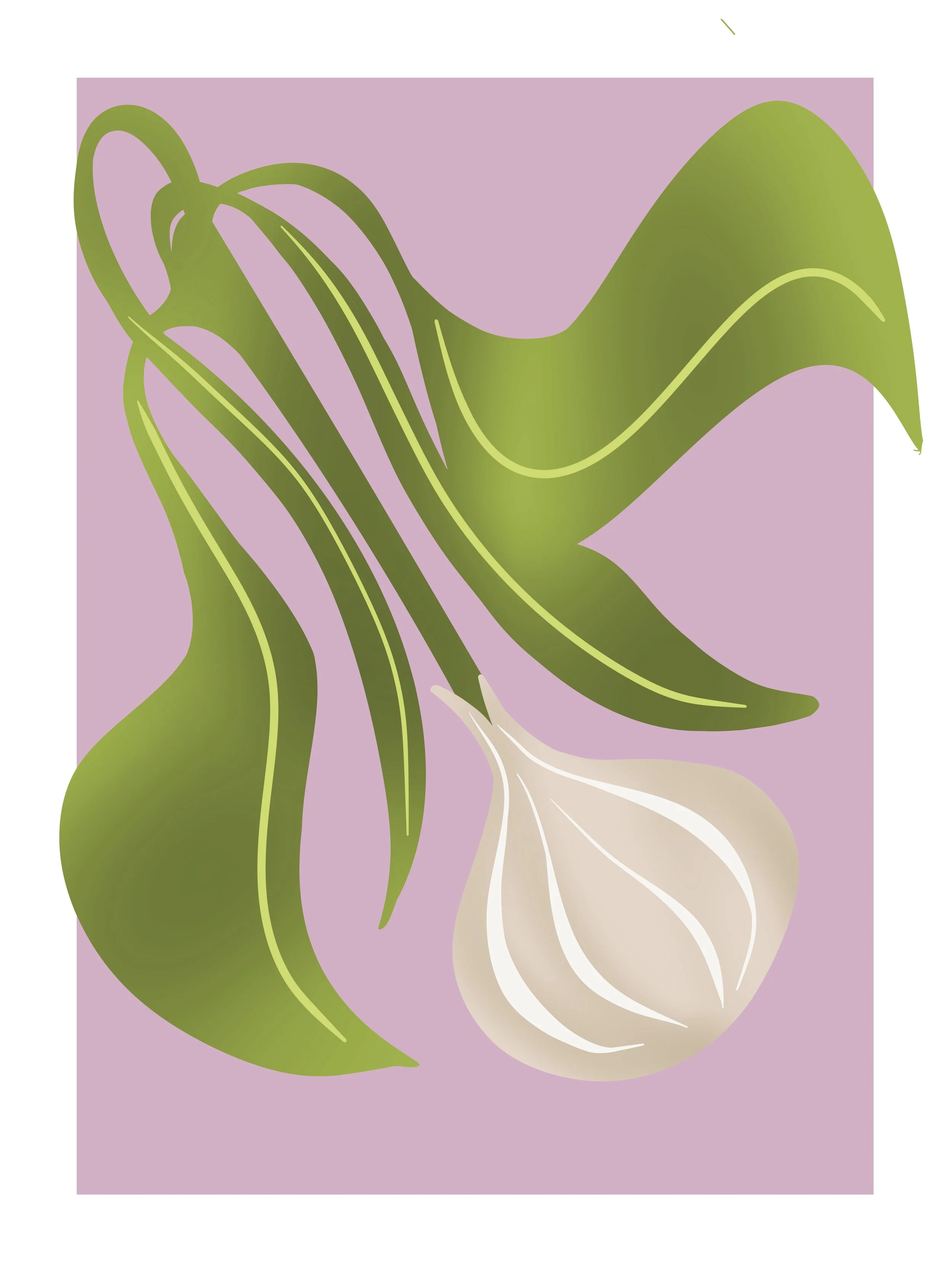 Untitled_Artwork 13.jpg