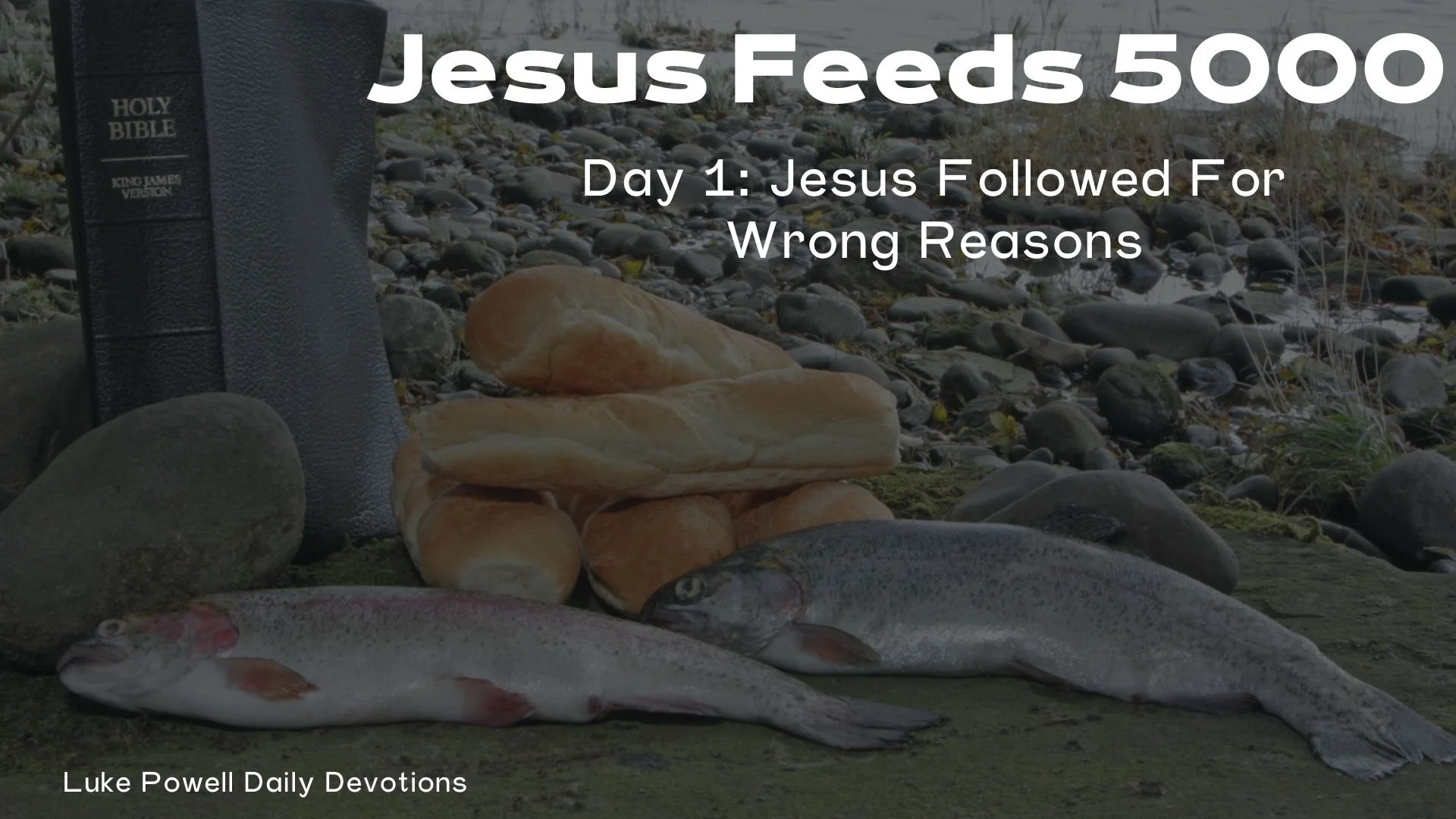 Jesus Followed For Wrong Reasons