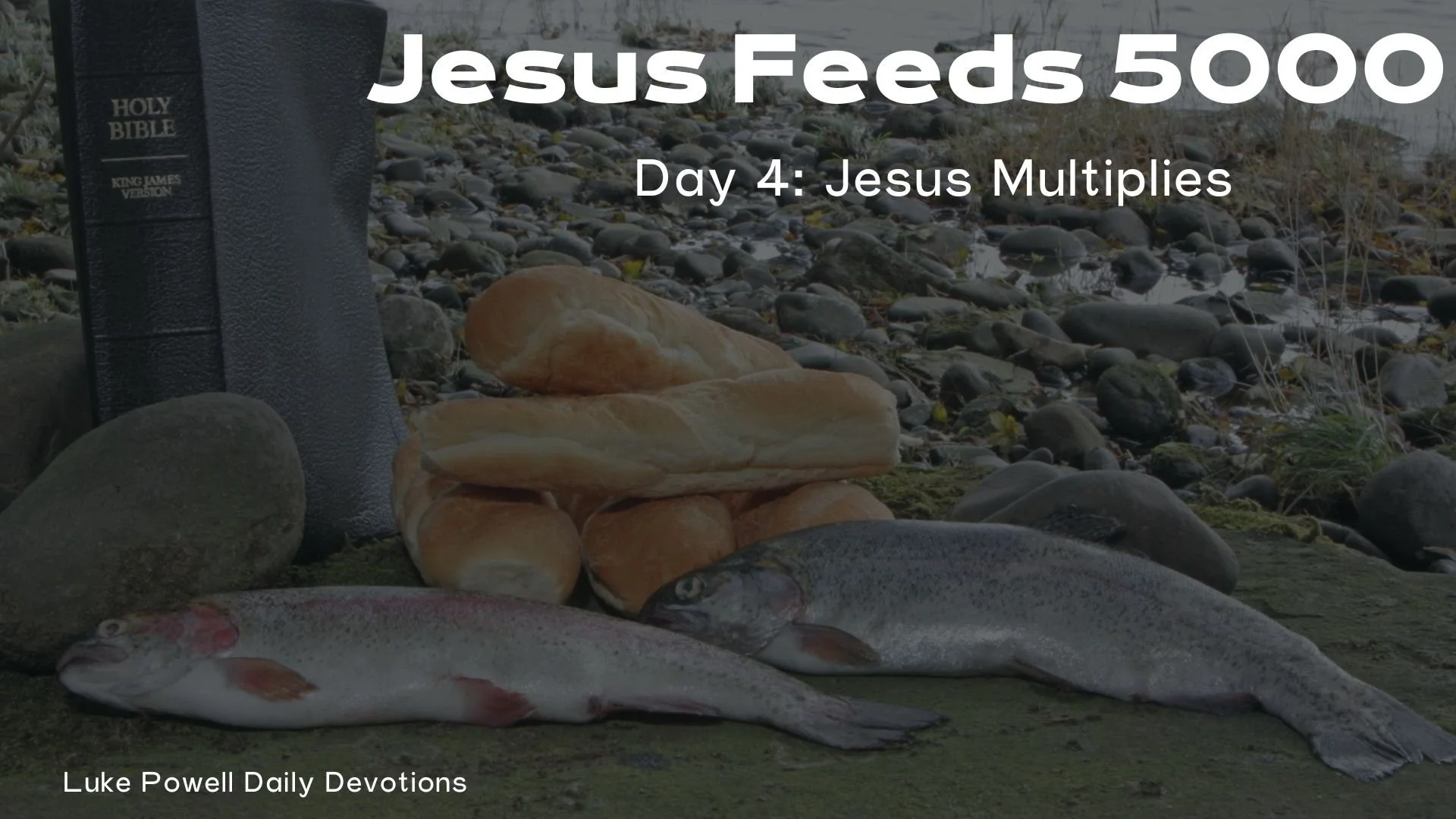 Jesus Multiplies