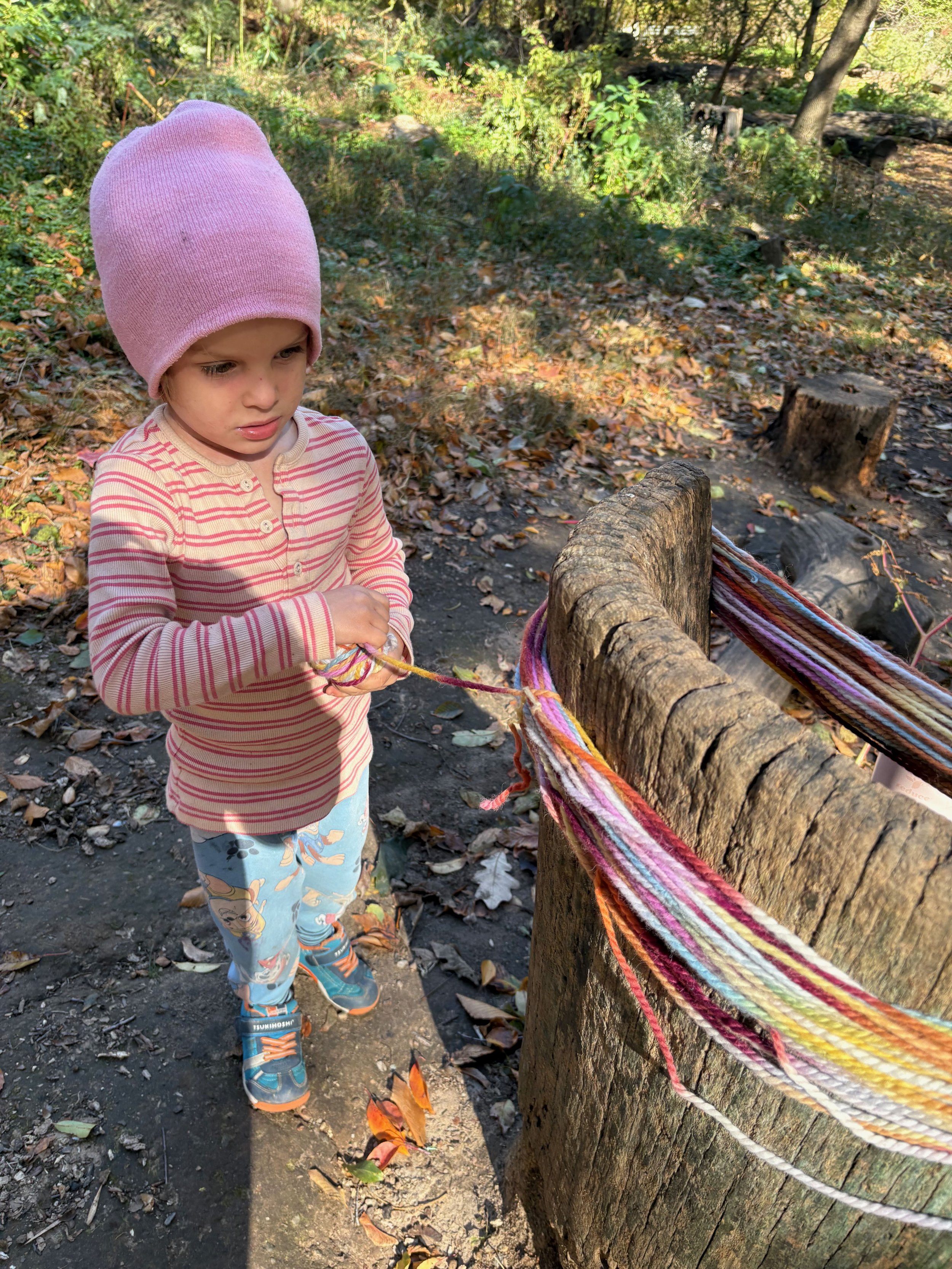 Winding a ball of yarn