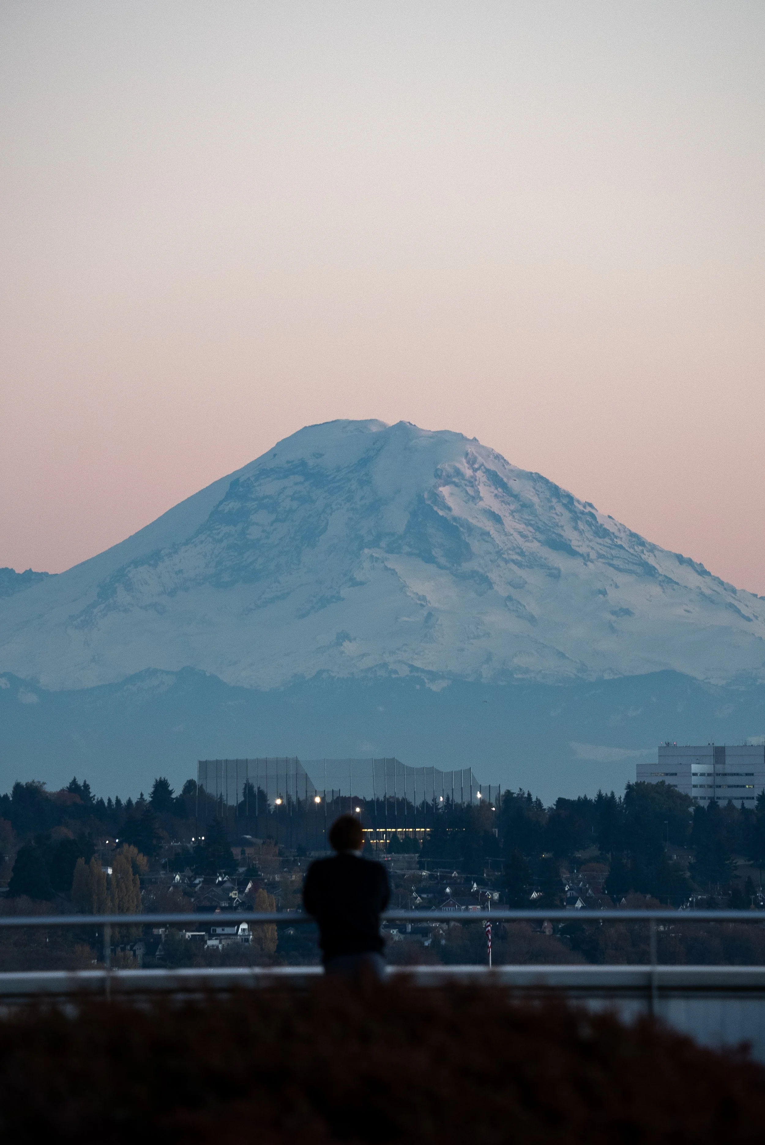 Keane Collins Engagement Photographer Mt. Rainier