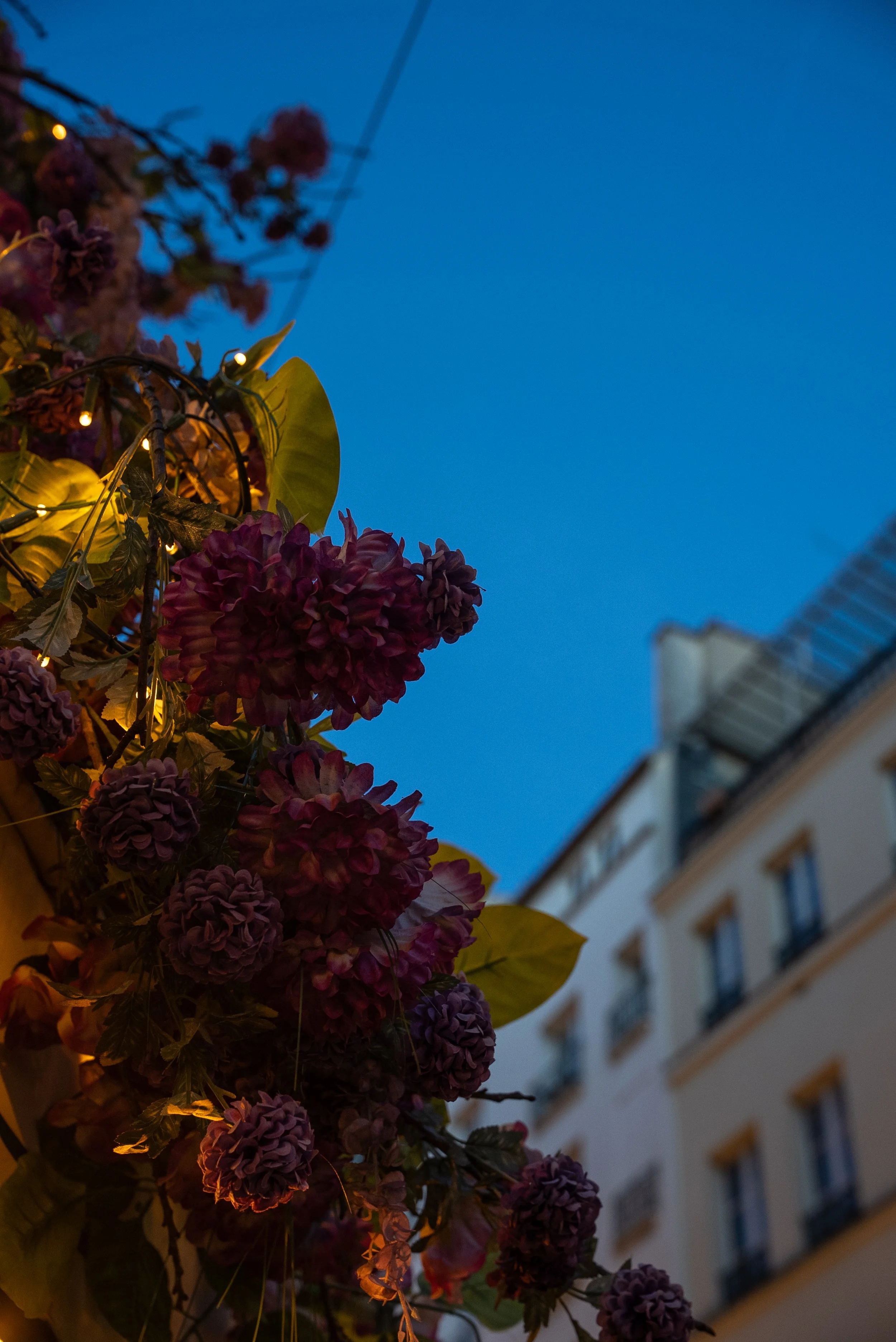 Keane Collins France