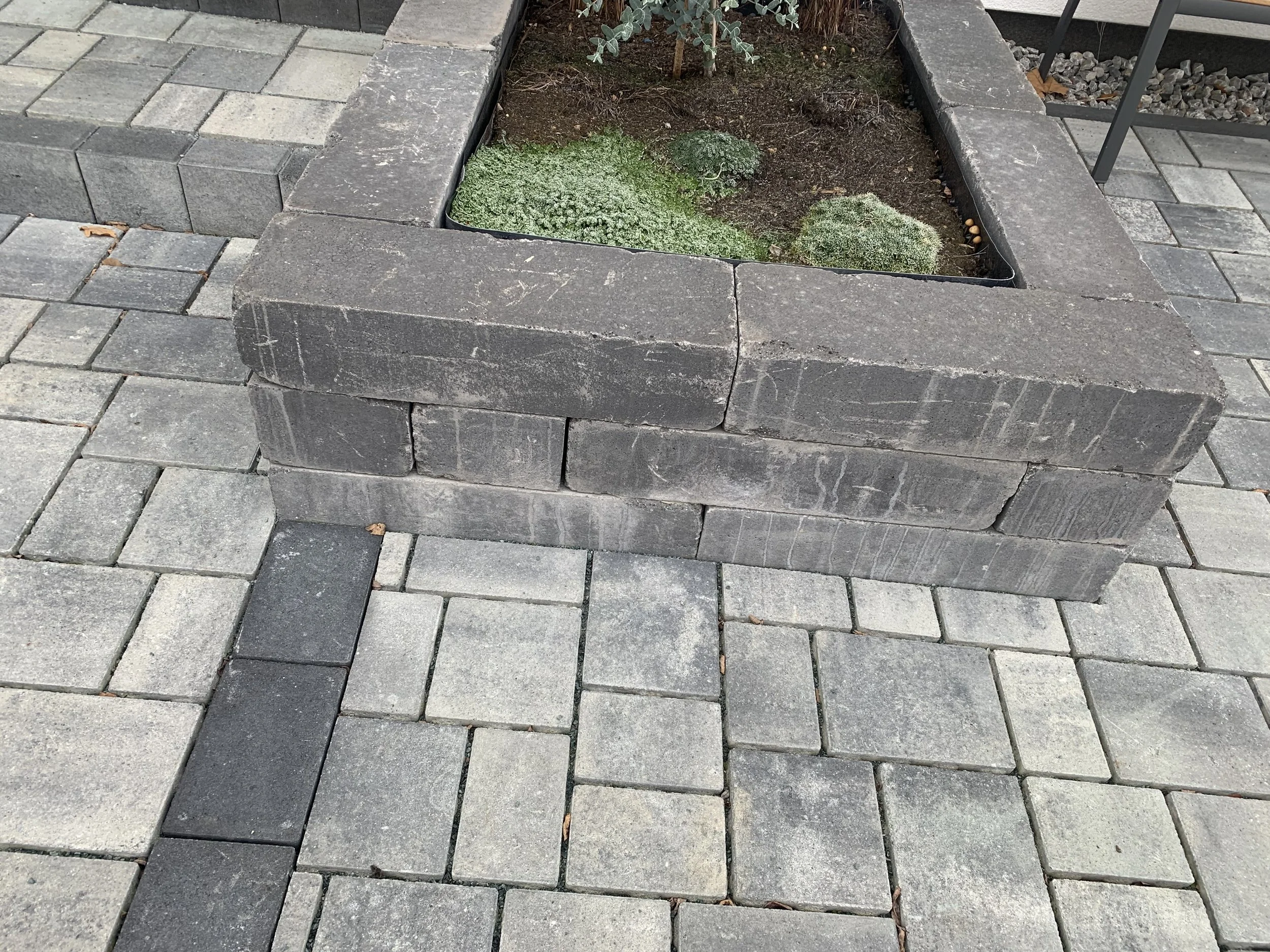 IMG_1616.jpeg