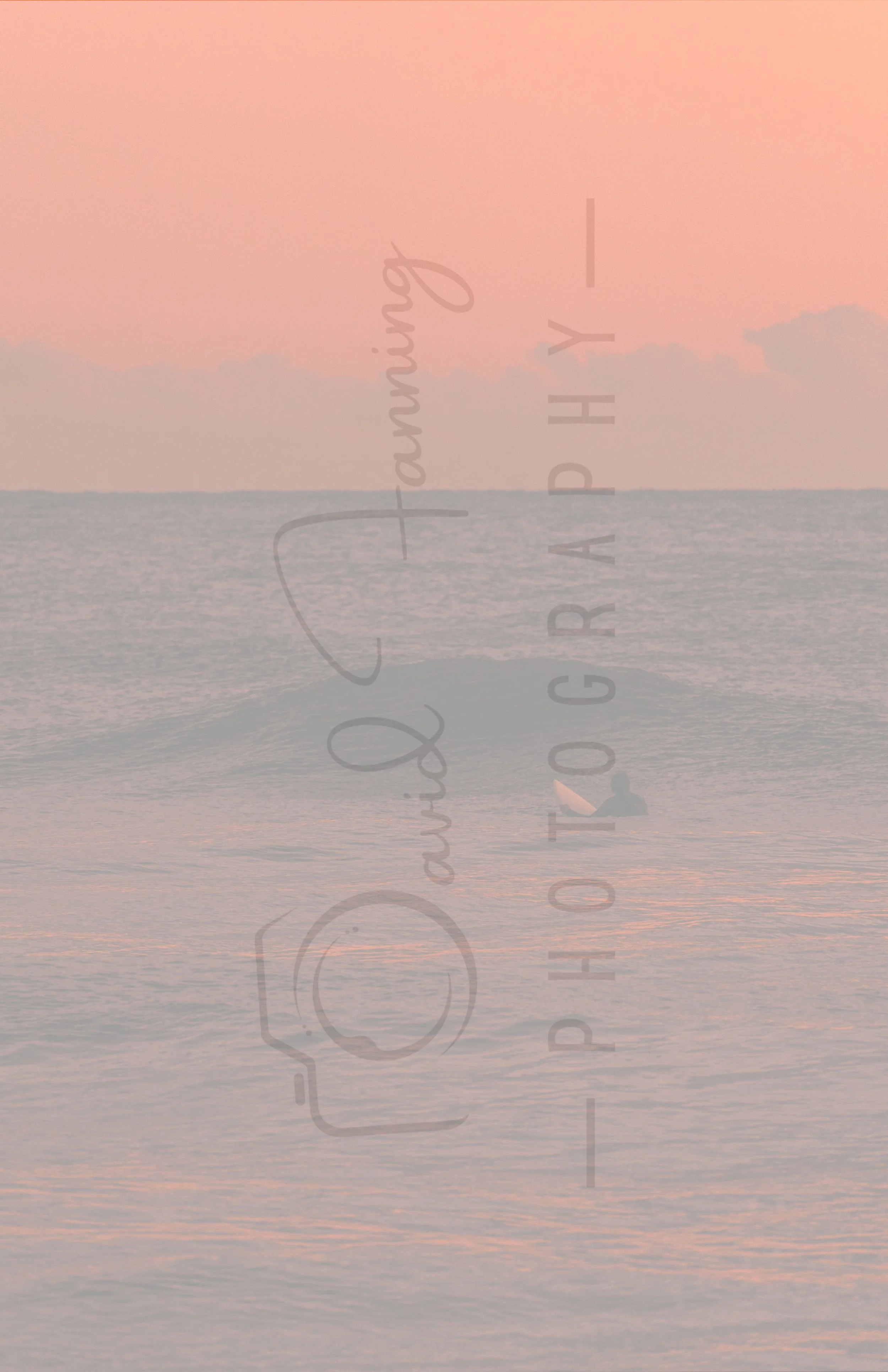 DSC03526 copy.jpg