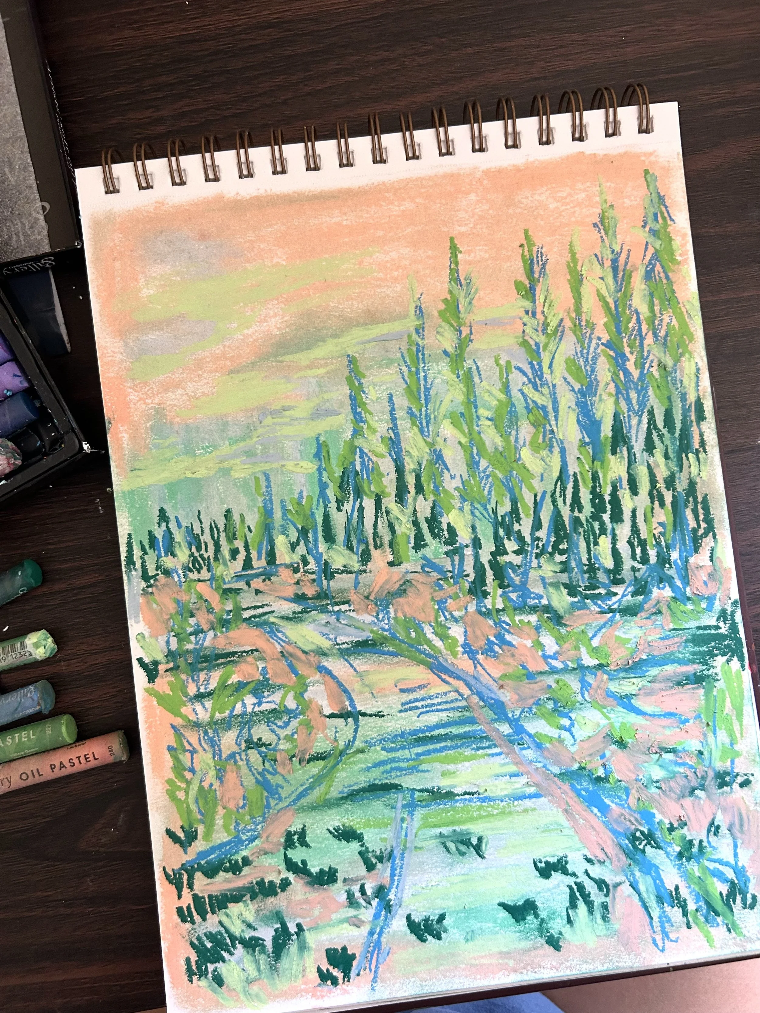 As I grew up, I never realized how much of my whimsy I've lost. I spent a chunk of my childhood around nature, national parks, and above all outside. I took a big break during my adult years, and told myself each time that I will save it for another 