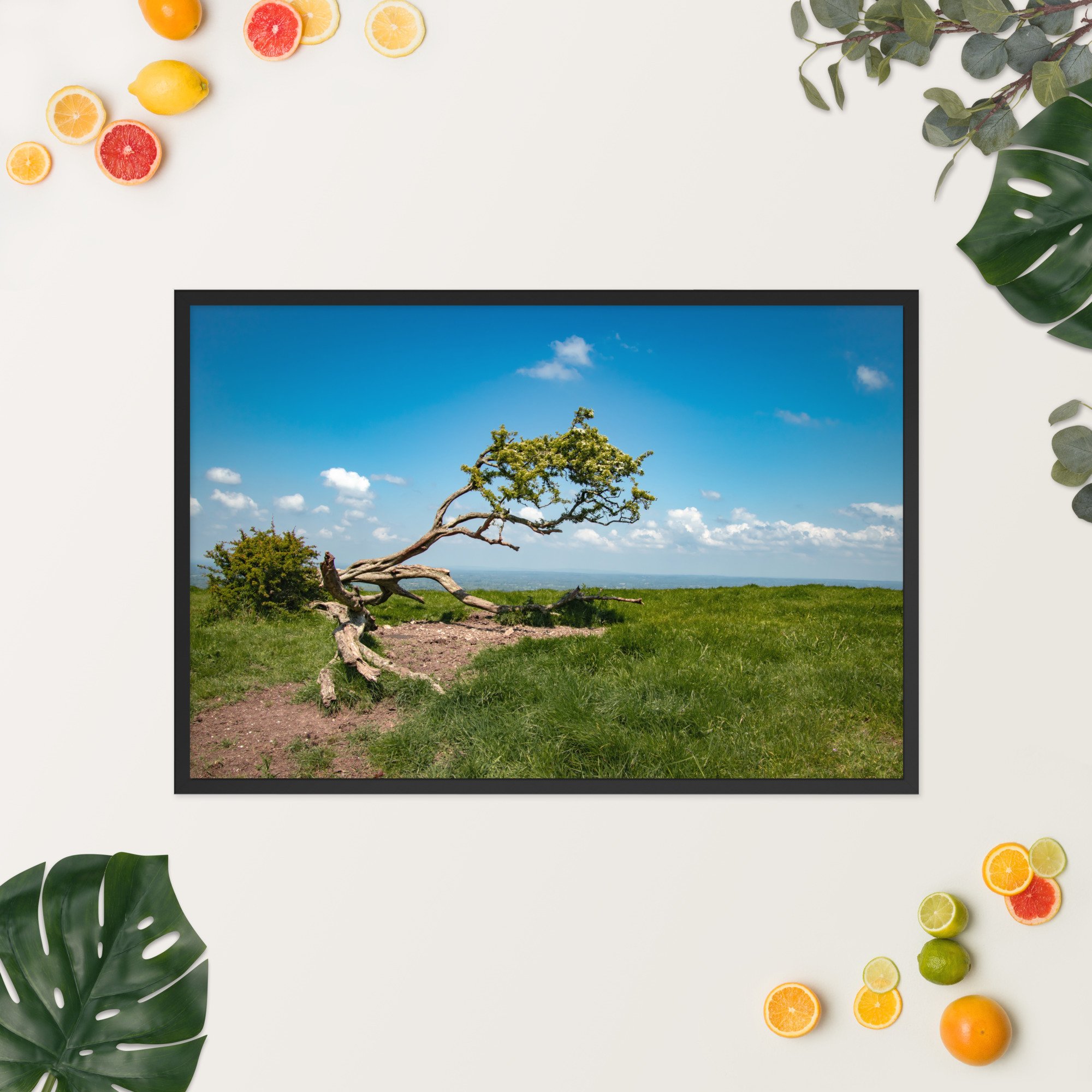 enhanced-matte-paper-framed-poster-(in)-black-24x36-springsummer-652ef8c2780a8.jpg