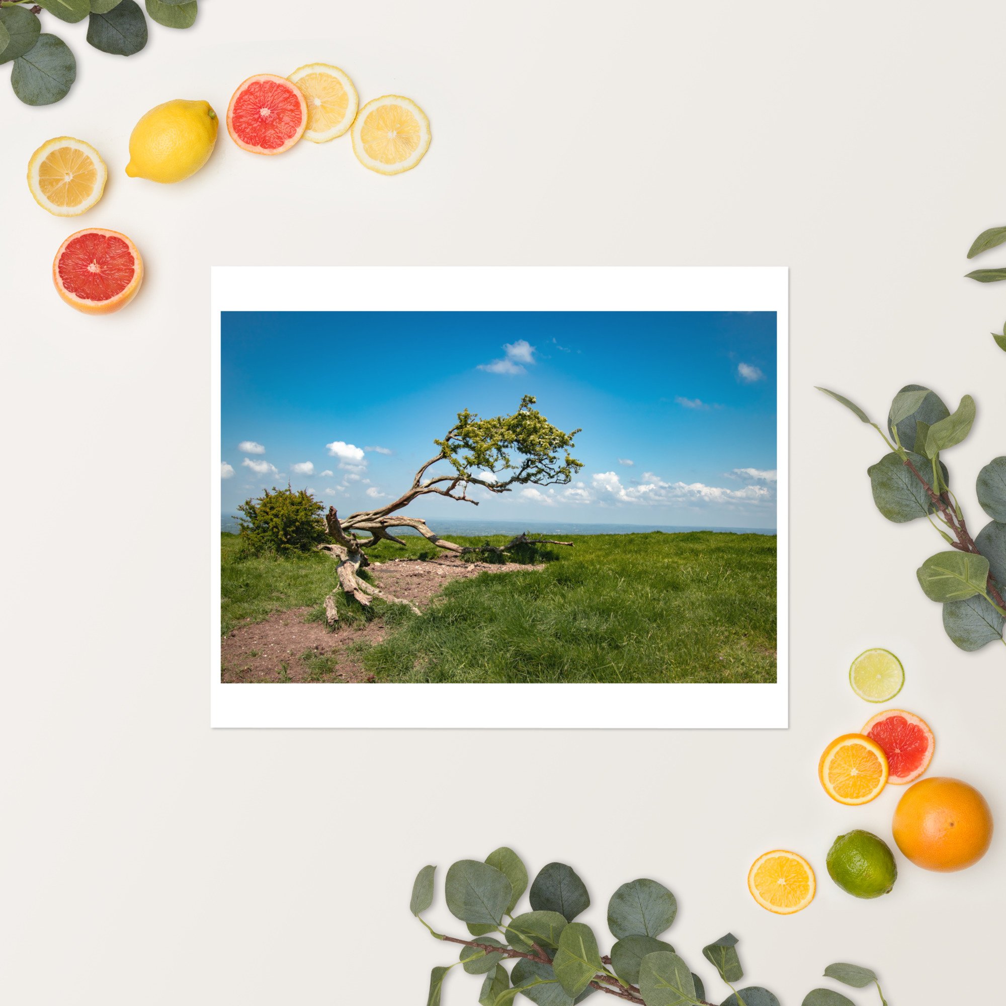 enhanced-matte-paper-poster-(in)-16x20-springsummer-652fa2d0f25d3.jpg